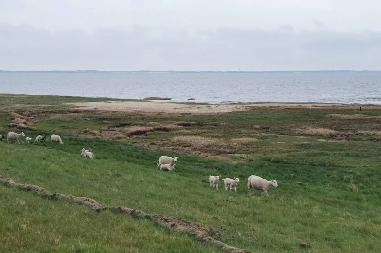 6 persoons vakantie huis in Rømø-Waterzicht