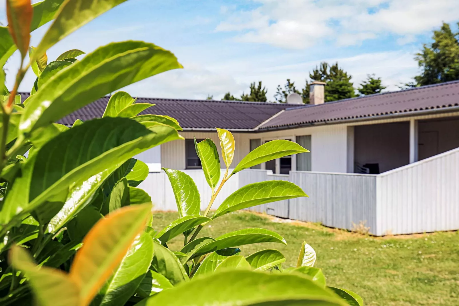 8 persoons vakantie huis in Væggerløse-By Traum-Uitzicht