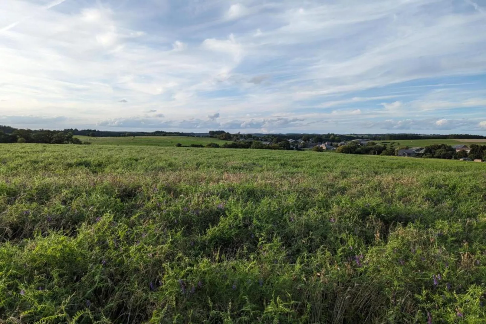 La Ferme Tirou-Gebieden zomer 5km