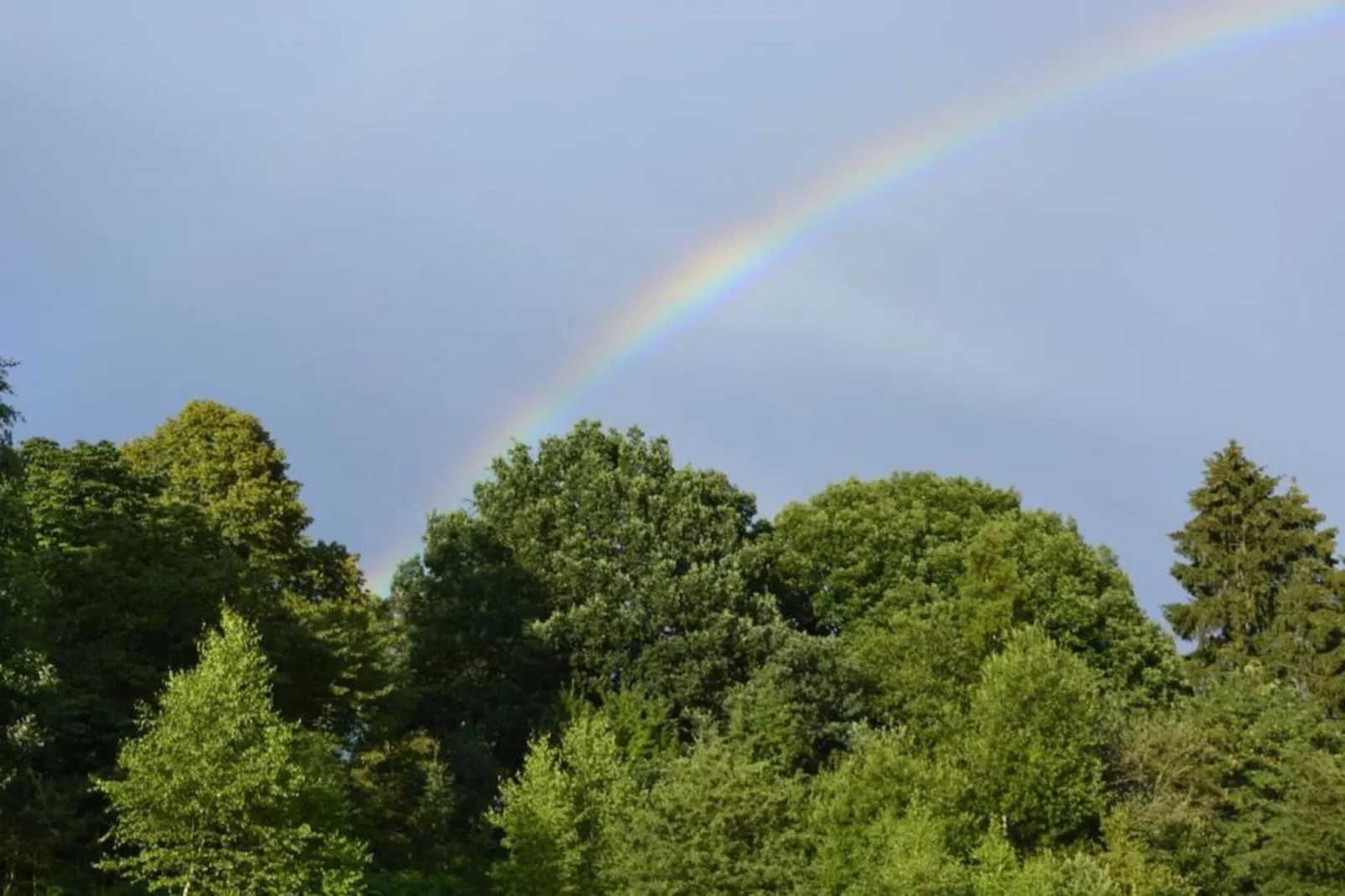 Orchidee-Gebieden zomer 20km