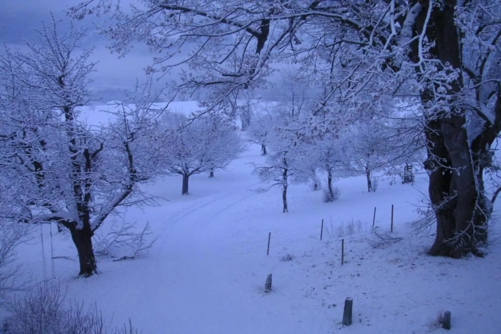 Sonnegg-Gebied winter 5km