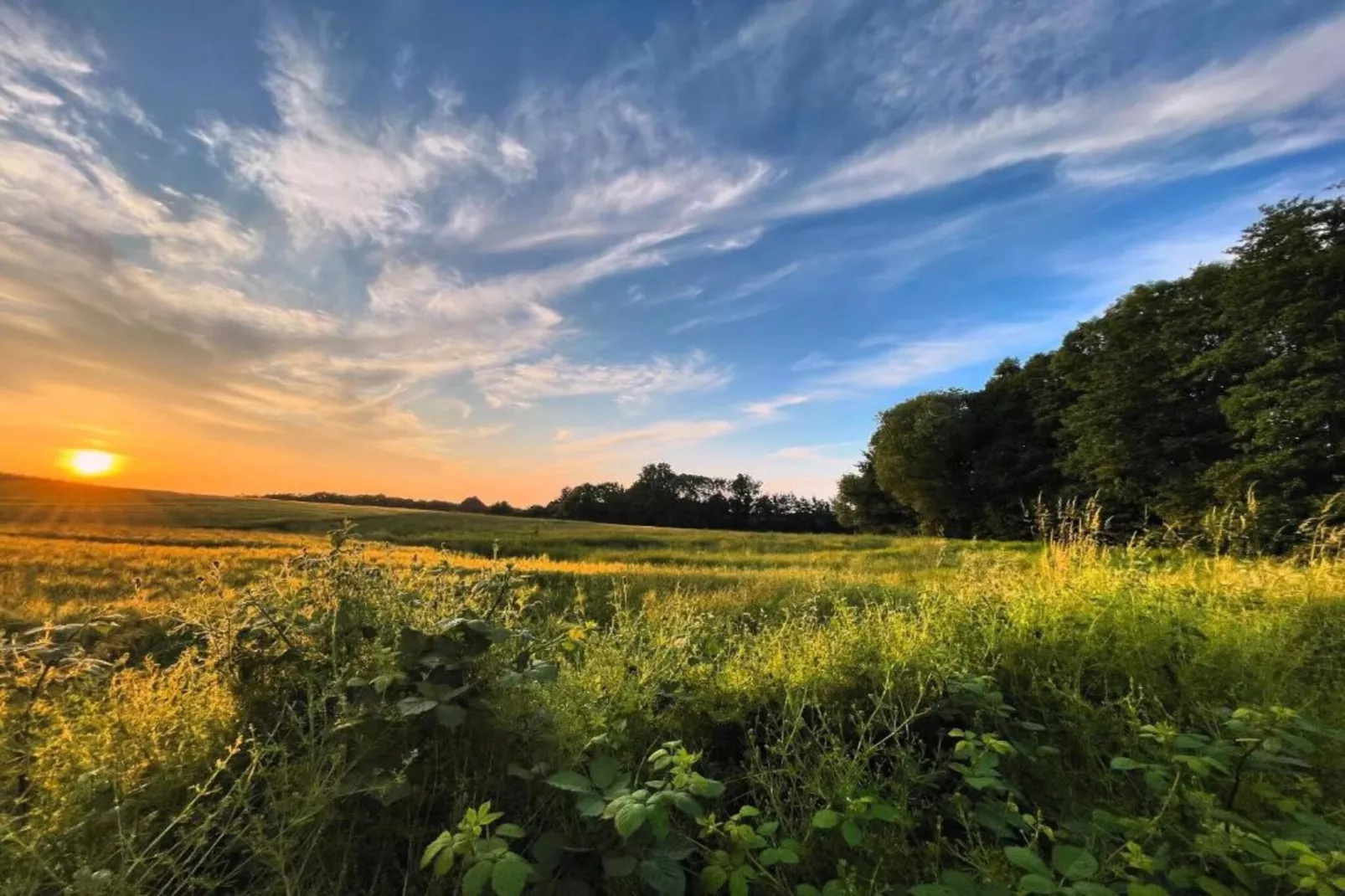 Maja 2 R-Gebieden zomer 20km