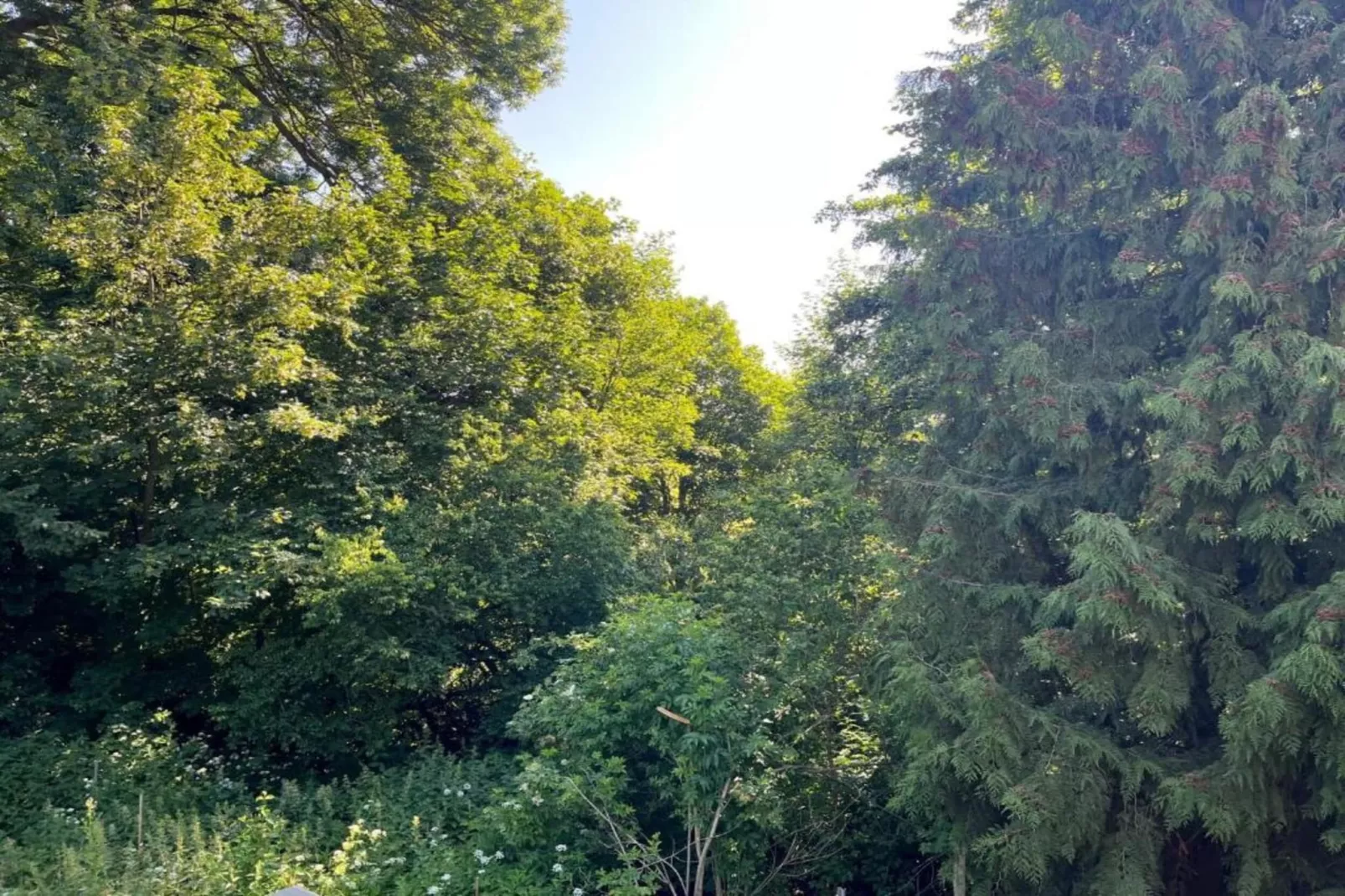 Holzhaus Ute-Gebieden zomer 20km