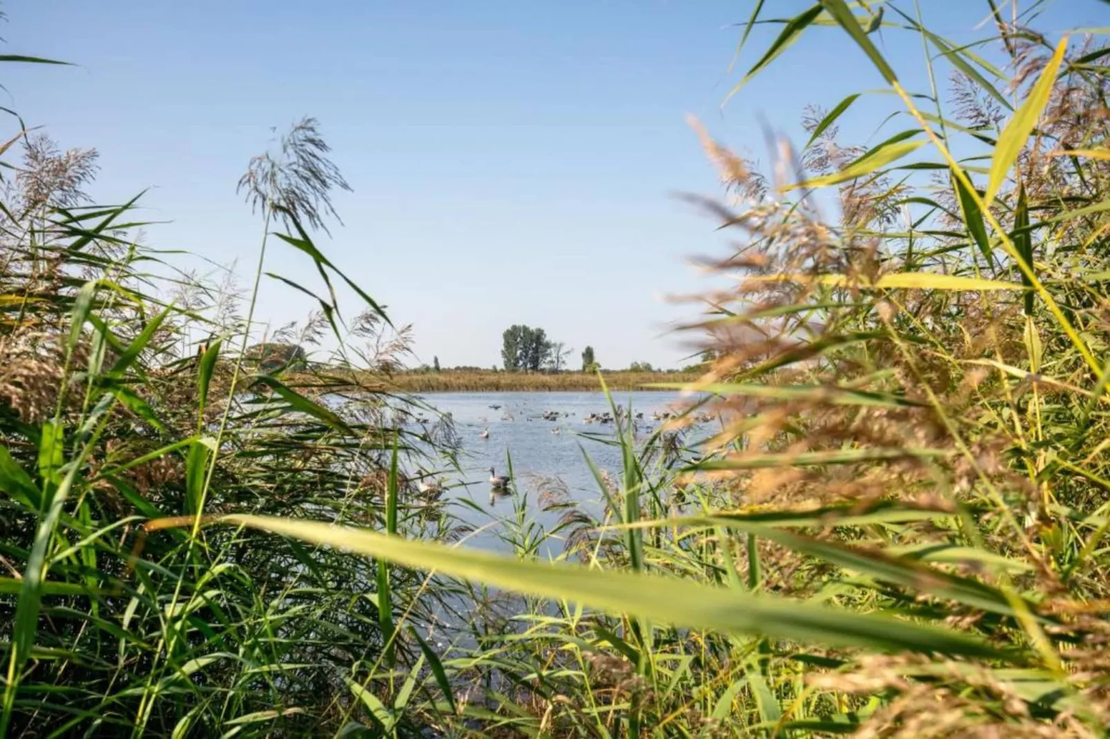 Ferienhaus Storchenblick-Gebieden zomer 20km