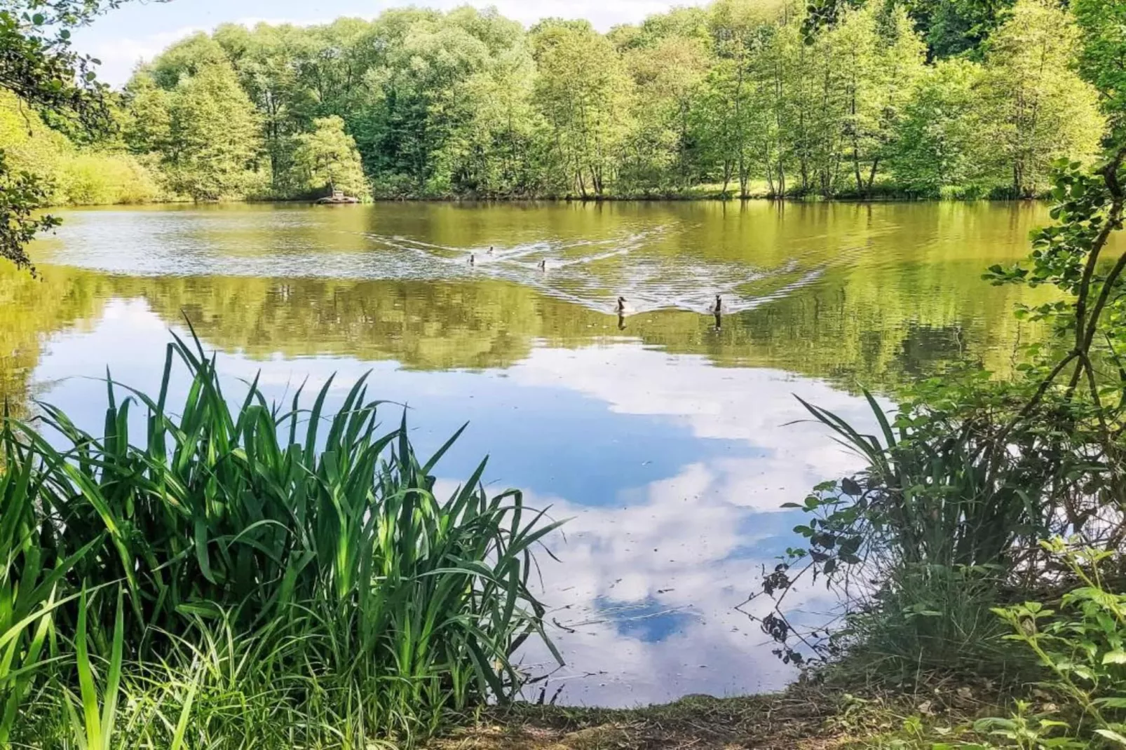 Am Sternberg-Gebieden zomer 20km