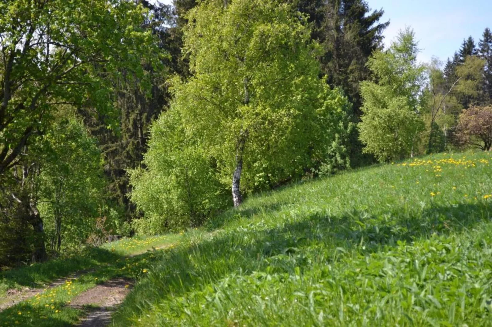 Spiegeltal-Gebieden zomer 5km