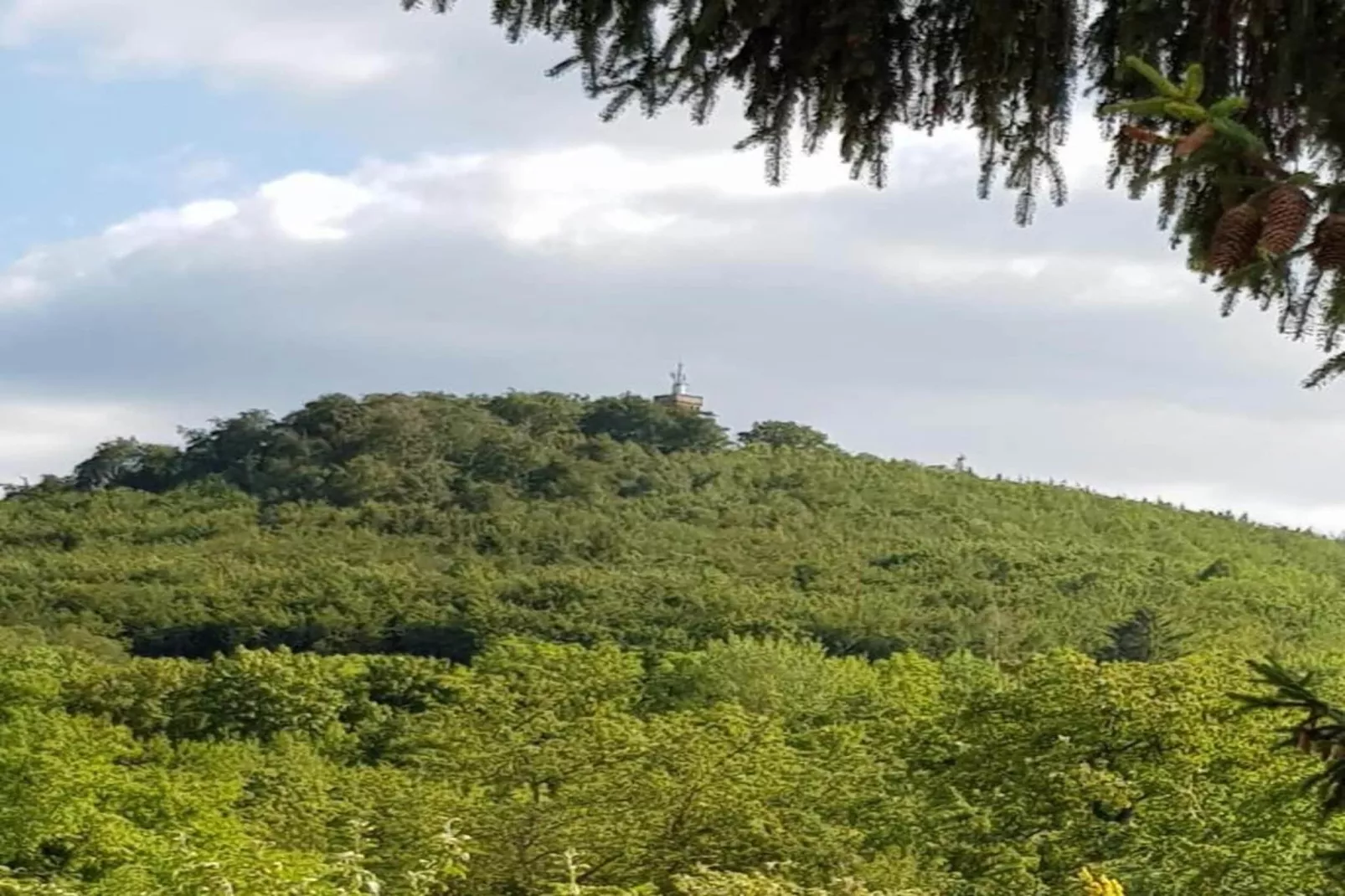 Blankenburg-Gebieden zomer 5km