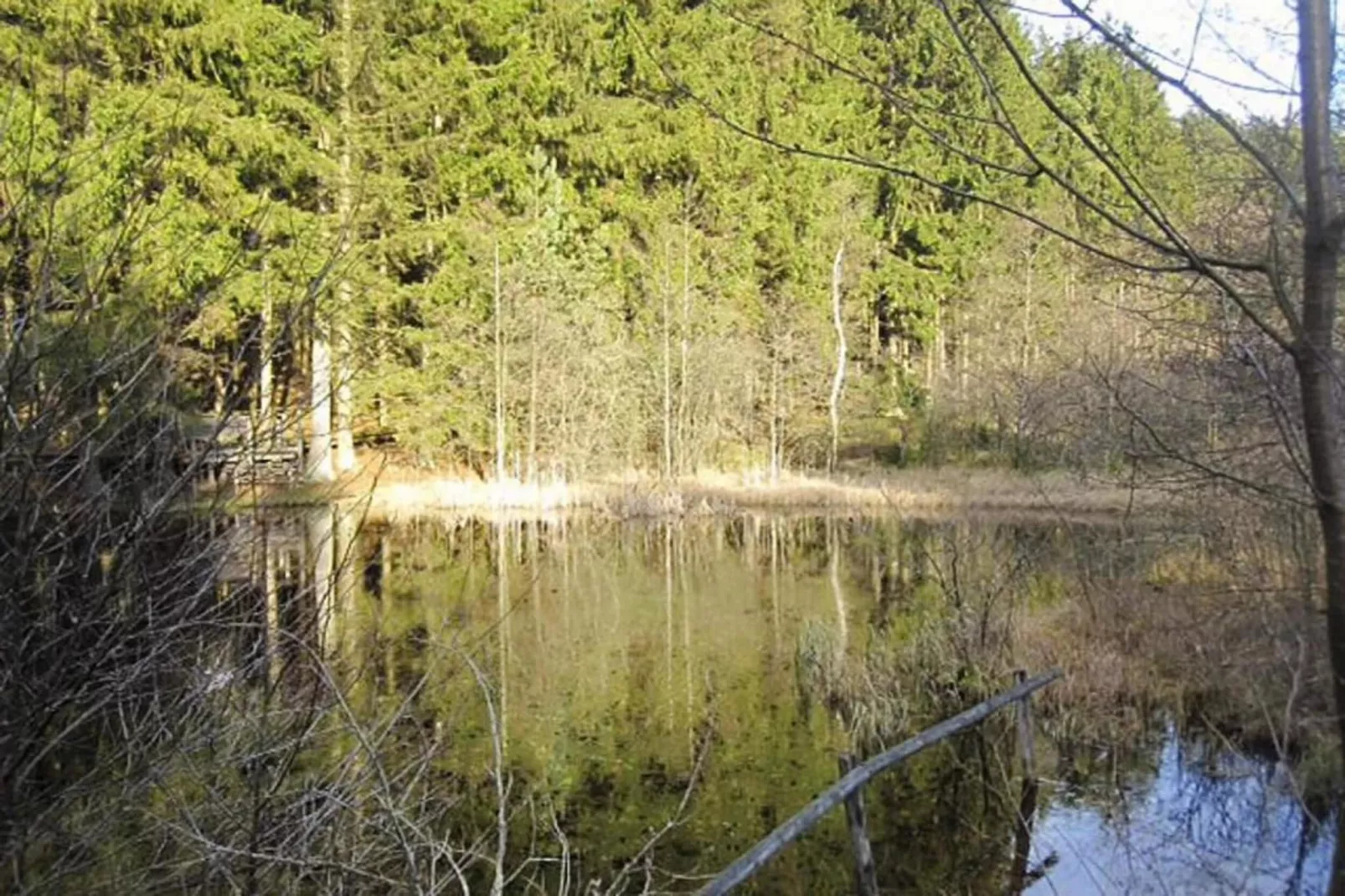 Ferienhaus Bremer-Gebieden zomer 20km