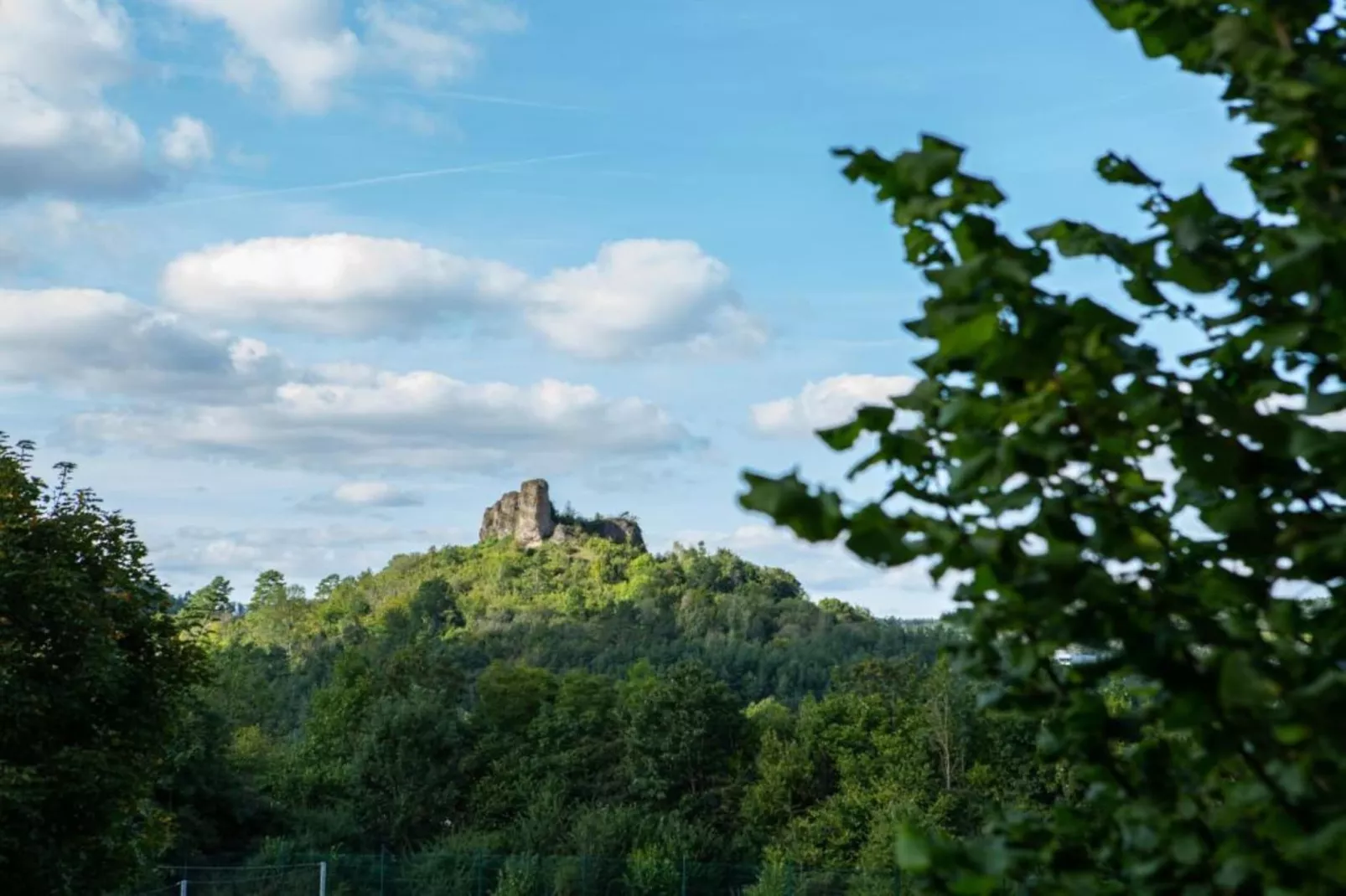 Ferienhaus Waldblick-Gebieden zomer 20km