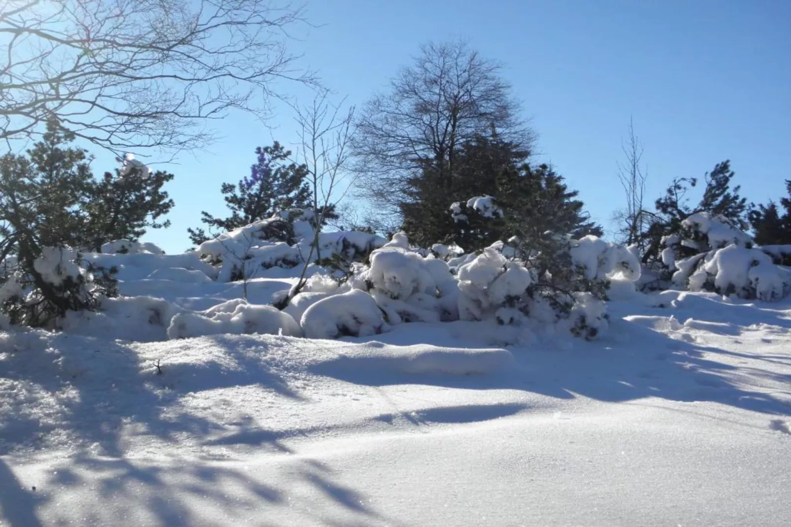Medebach-Gebied winter 20km