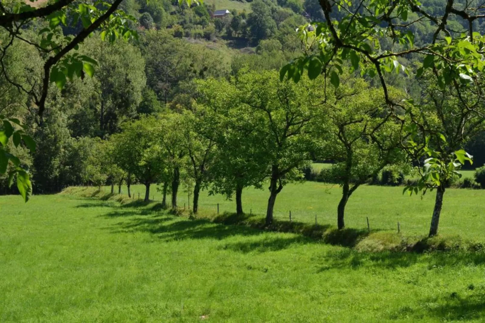 Muret-le-Château-Gebieden zomer 20km