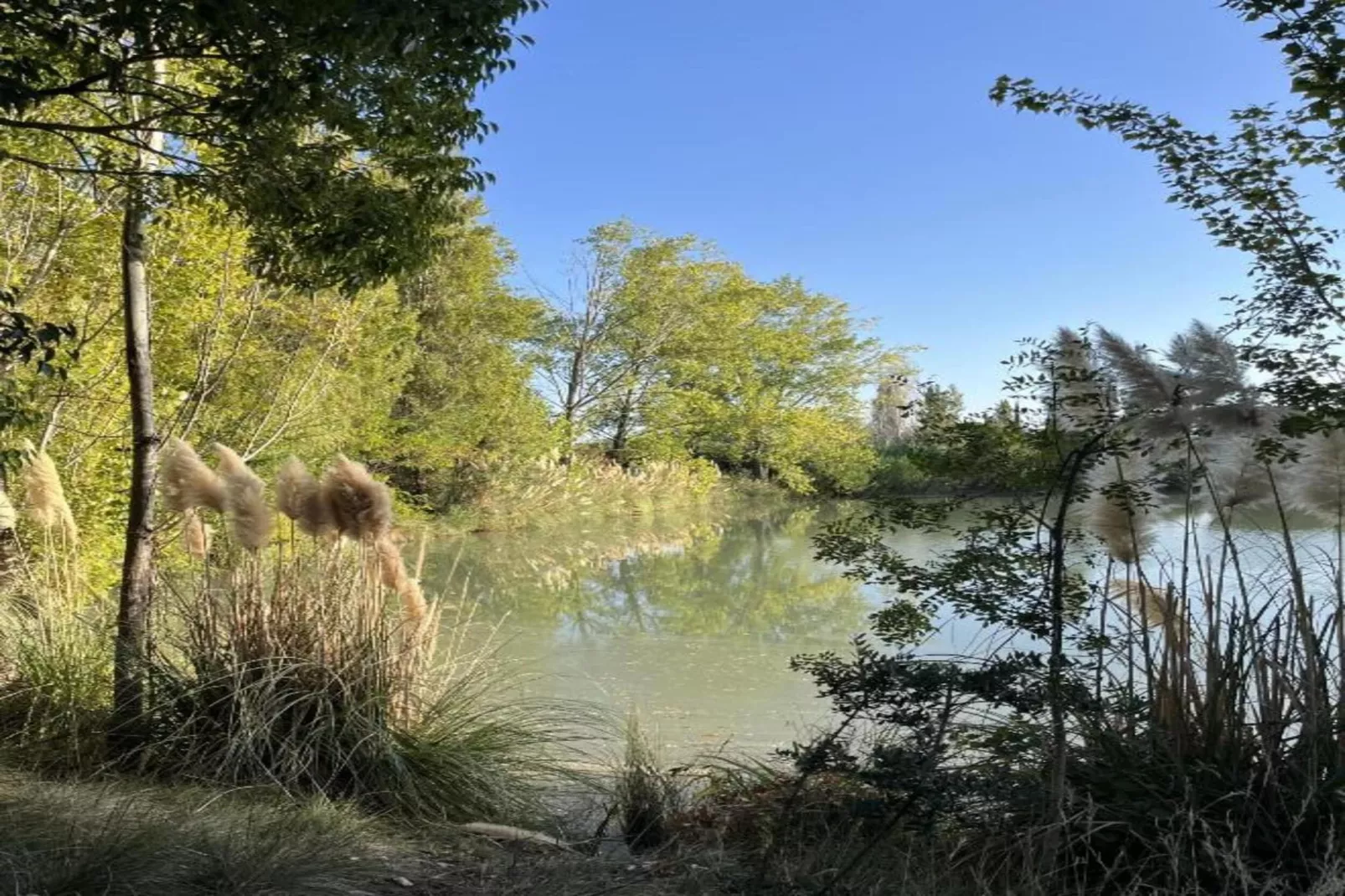 Le village Camarguais Les Gardians 3-Gebieden zomer 20km
