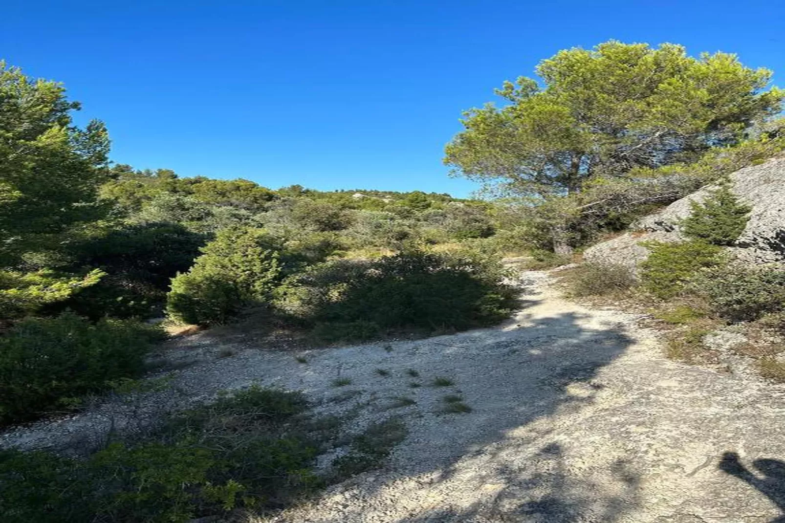 Rèsidence Le Mas des Alpilles 1-Gebieden zomer 20km