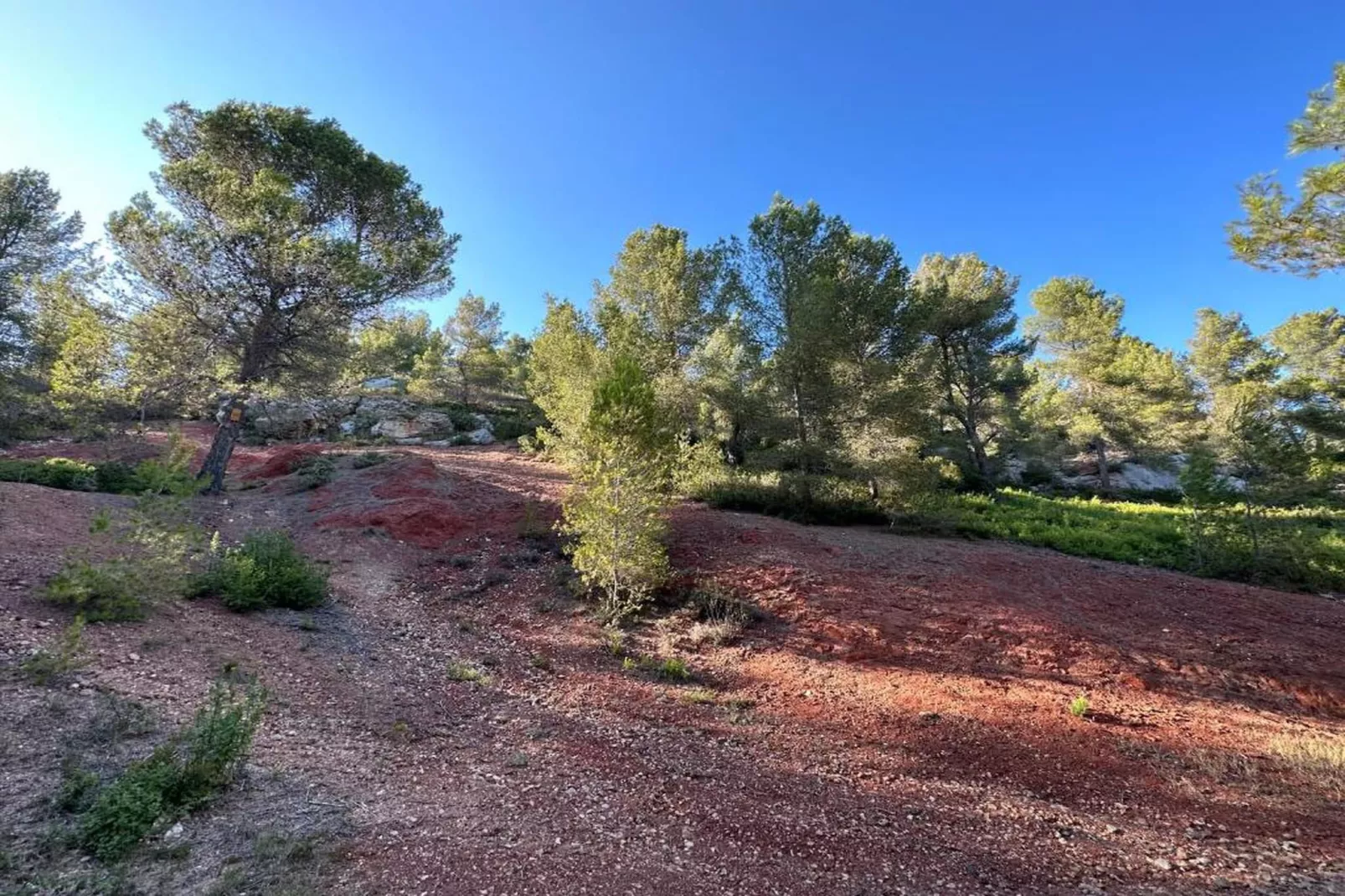 Résidence Le Mas des Alpilles 2-Gebieden zomer 20km
