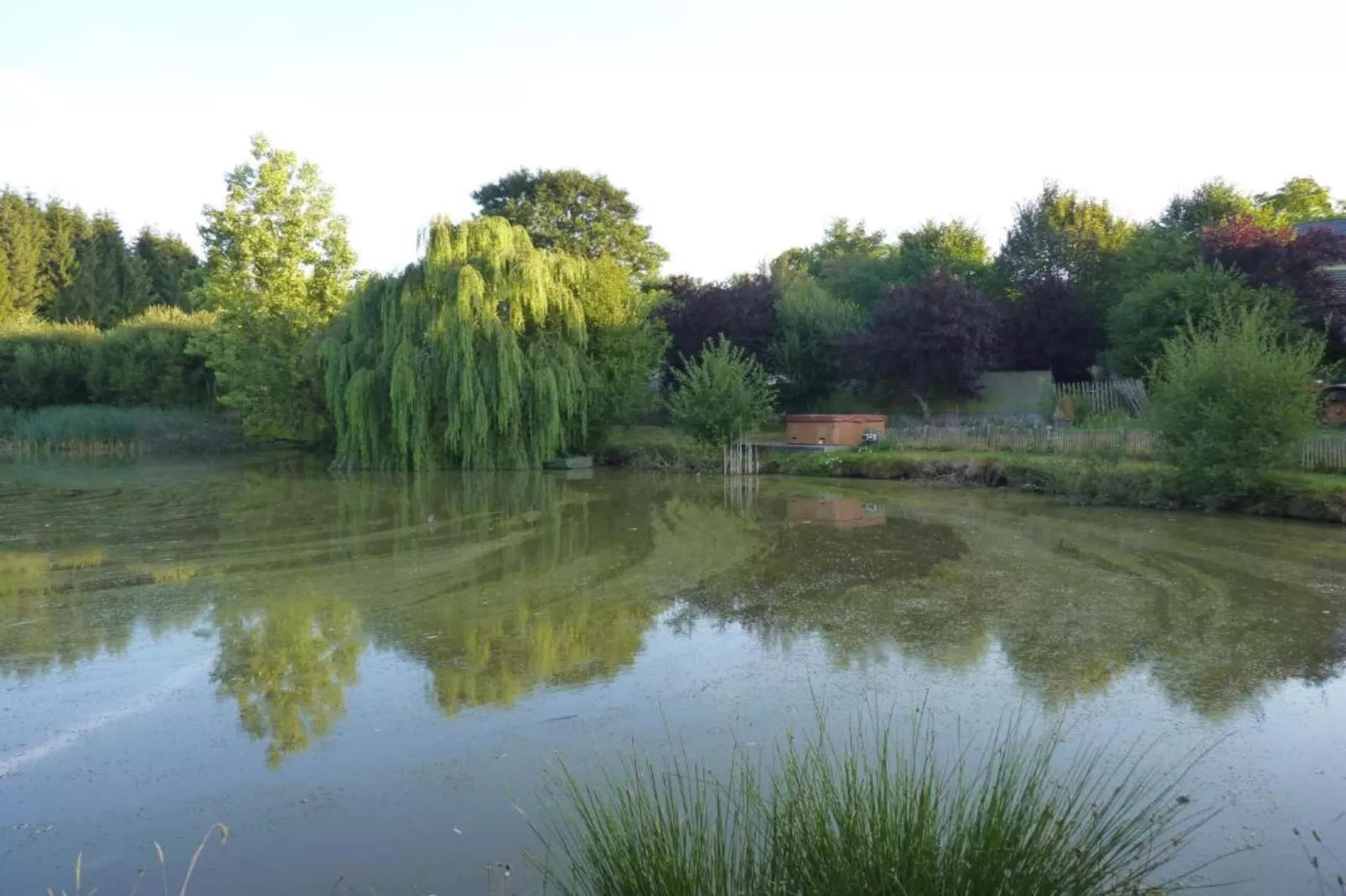 Maison de vacances - Sénezergues-Gebieden zomer 20km