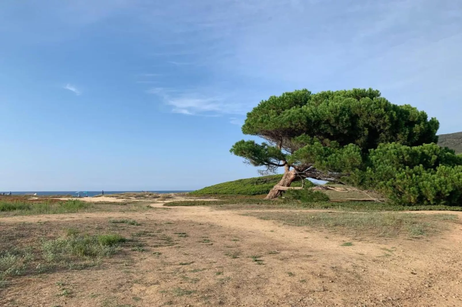 Résidence-Club les Villas Bel Godère 2-Gebieden zomer 5km