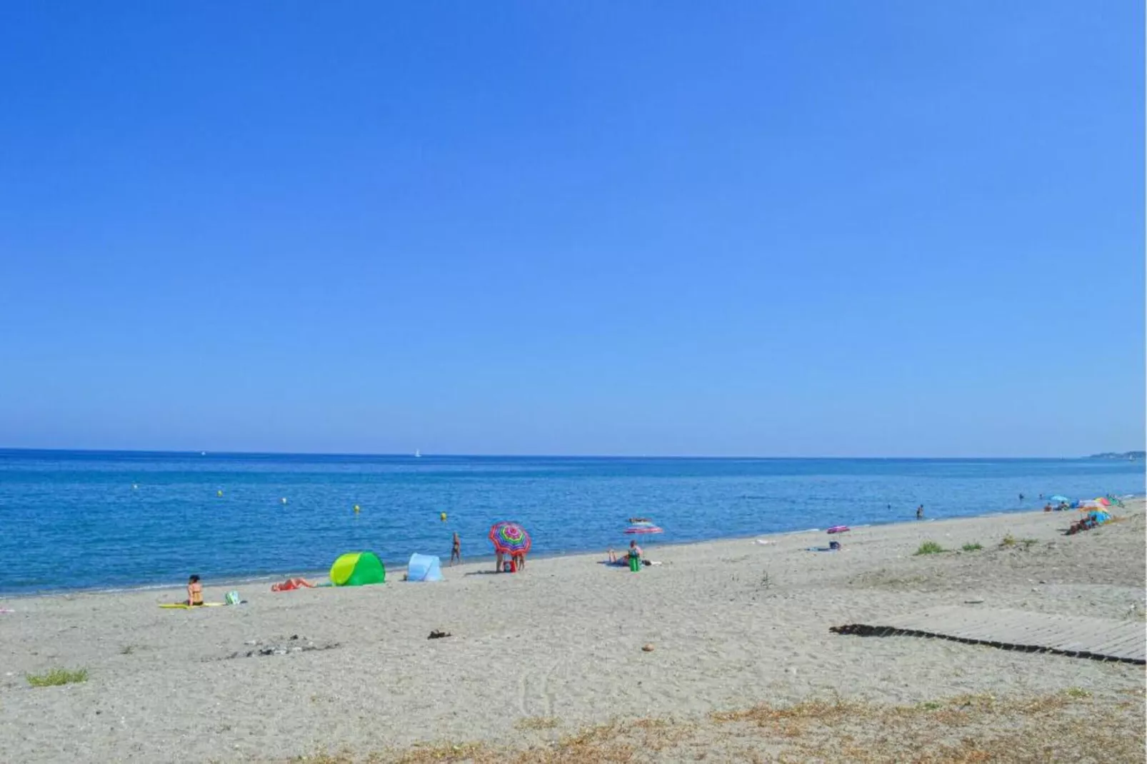 Turquoise-Gebieden zomer 1km