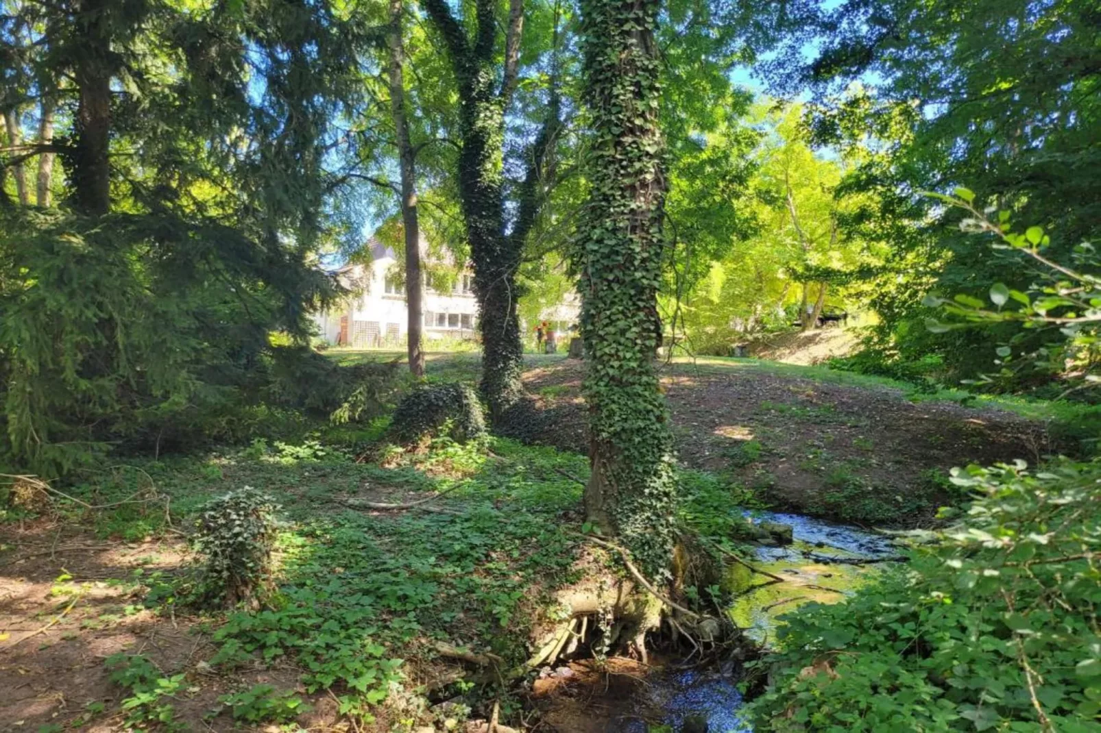 La Coquette-Gebieden zomer 20km