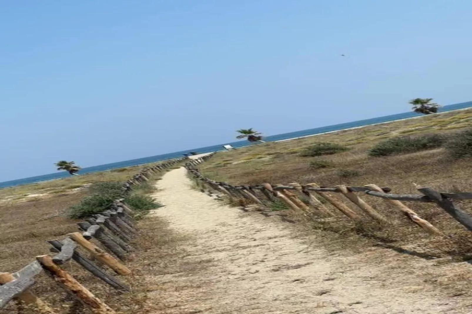 Mas de Torreilles 2-Gebieden zomer 20km