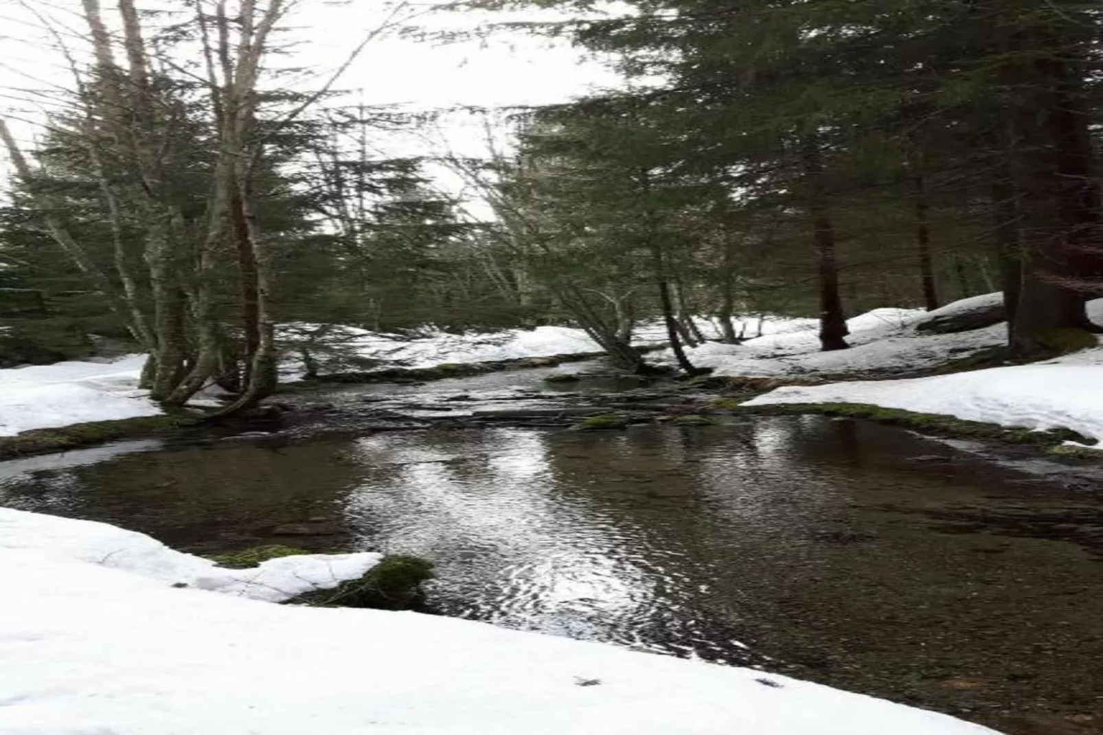 Isatis 1-Gebied winter 20km