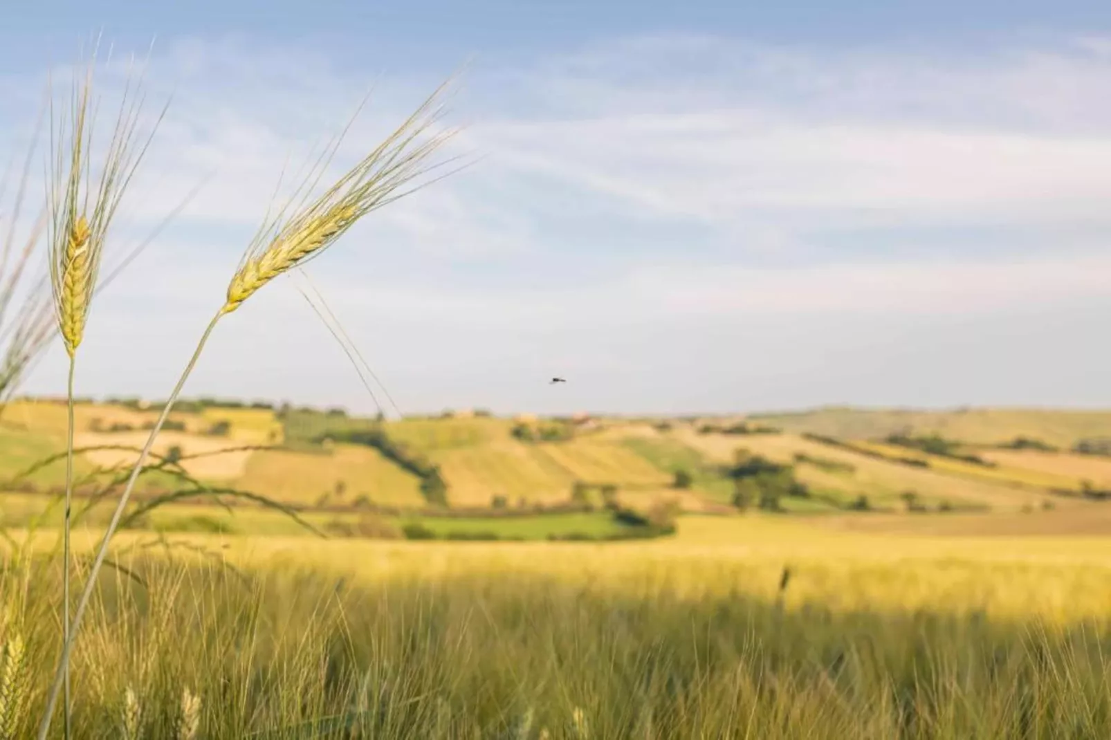 La Cantinaia Botte-Gebieden zomer 20km