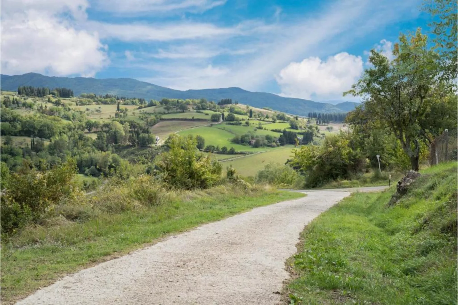 Canaiolo-Gebieden zomer 20km