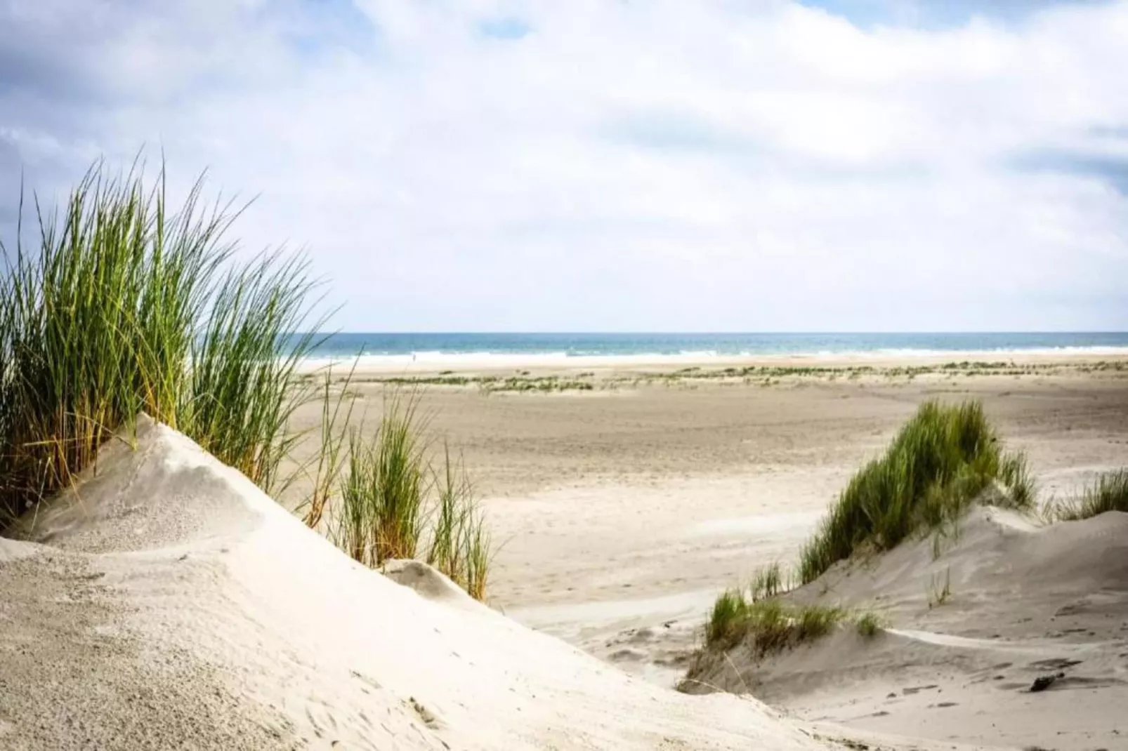 Duindroom op Terschelling-Gebieden zomer 20km