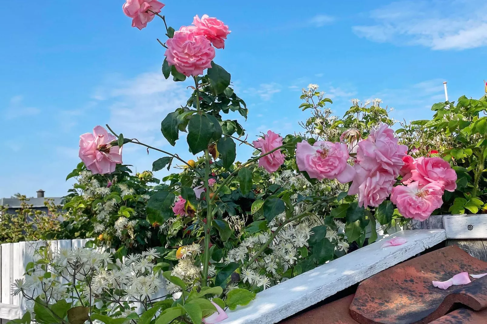 6 persoons vakantie huis in Otterup-By Traum-Buitenlucht