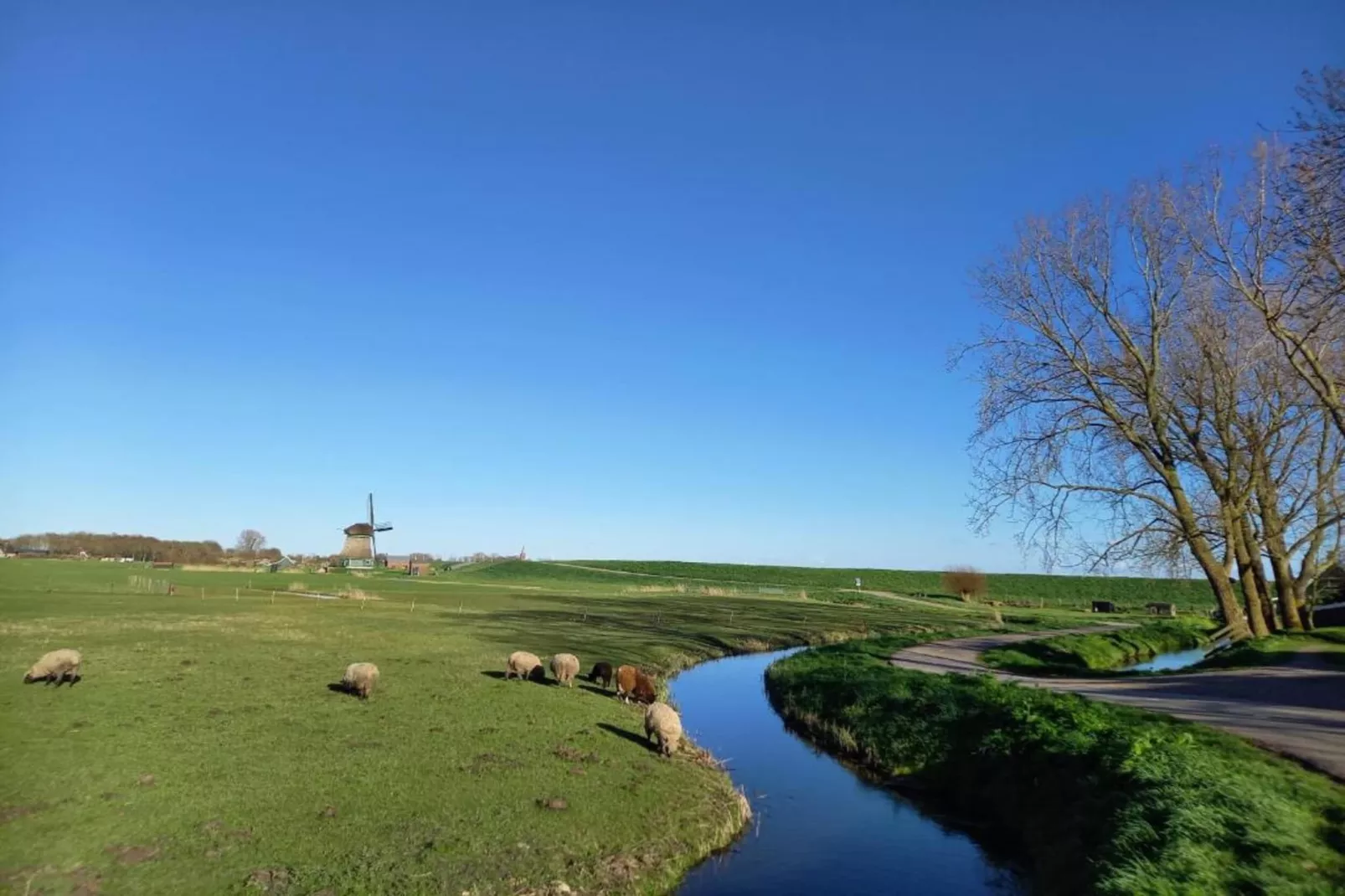 Park Wijdenes 4-Gebieden zomer 20km