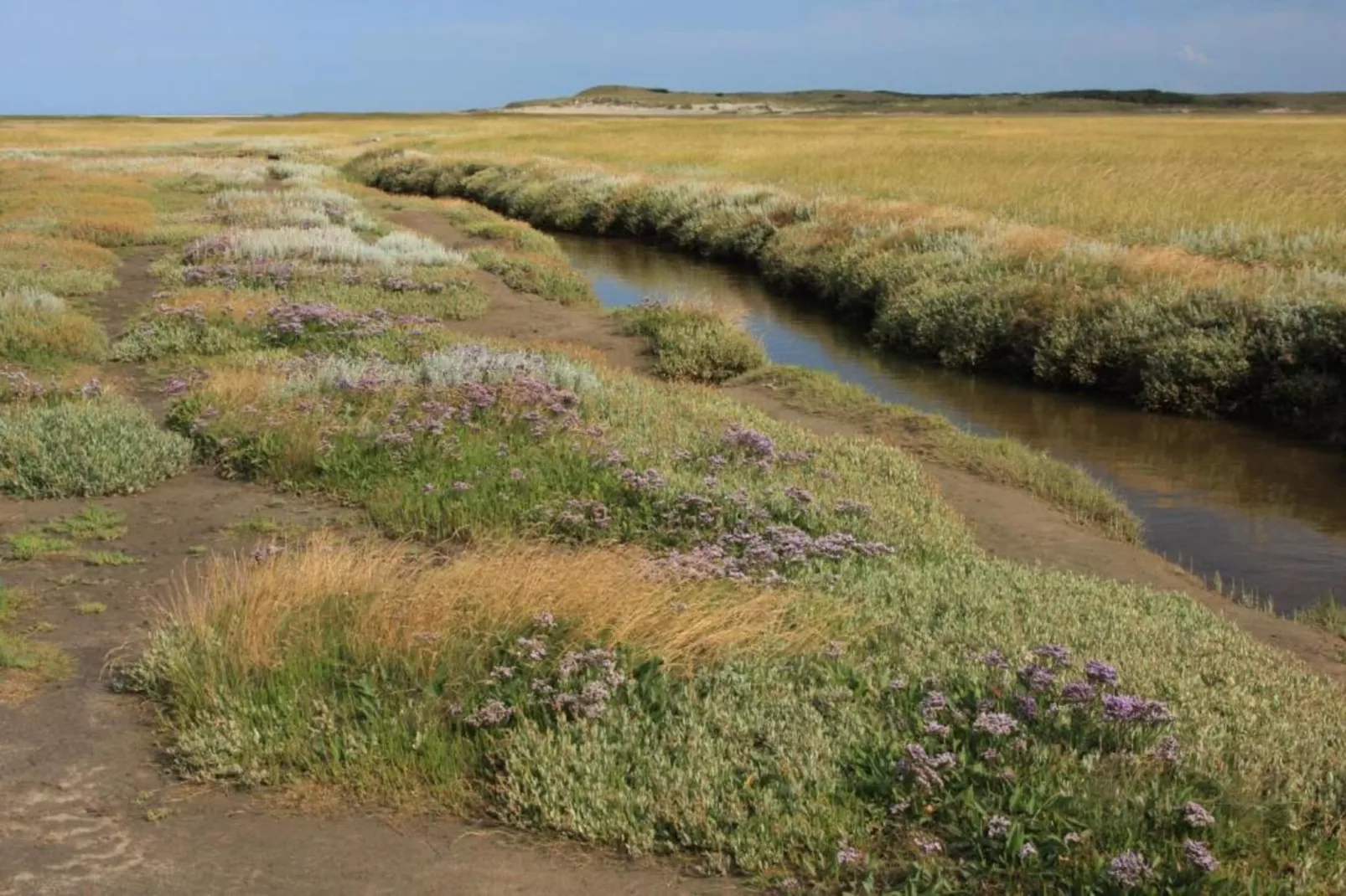 Residentie Californië 2-Gebieden zomer 20km