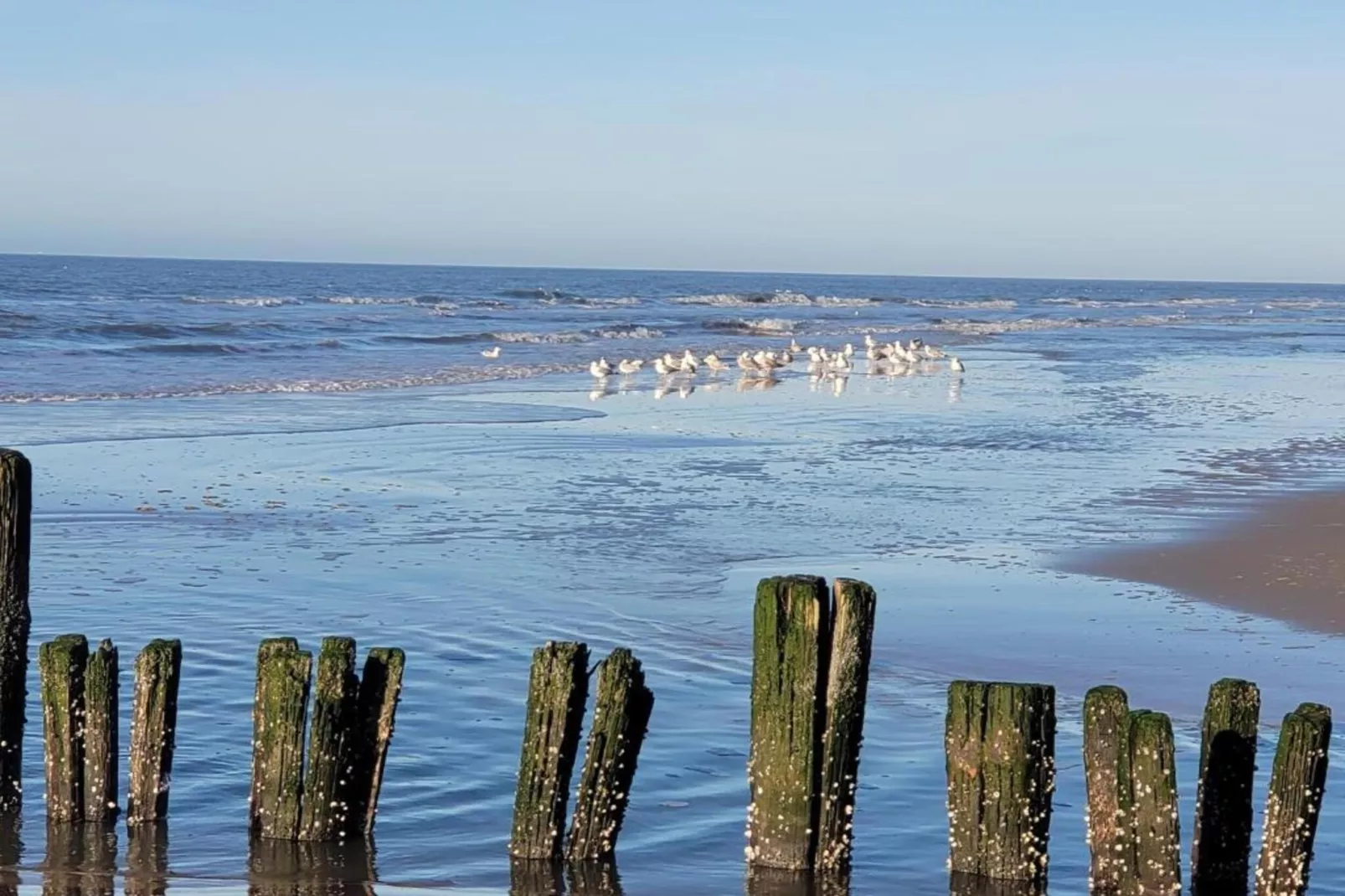 Huize Glory Diamant-Gebieden zomer 20km