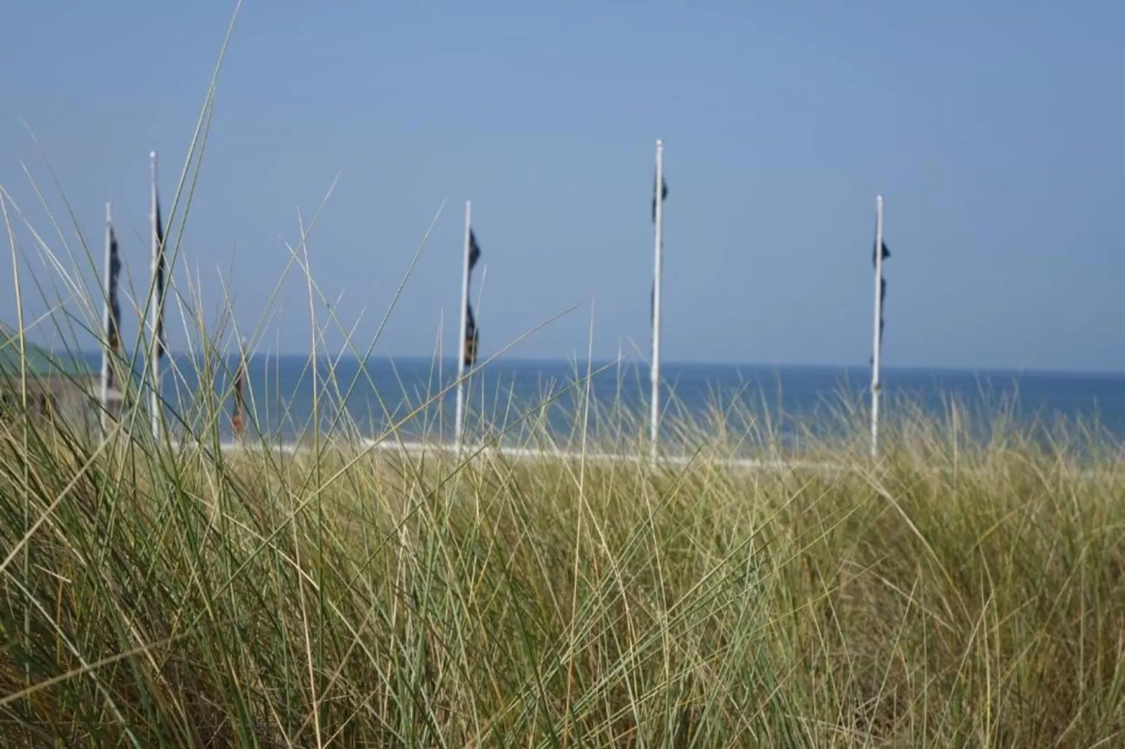 Beaudune-Gebieden zomer 20km
