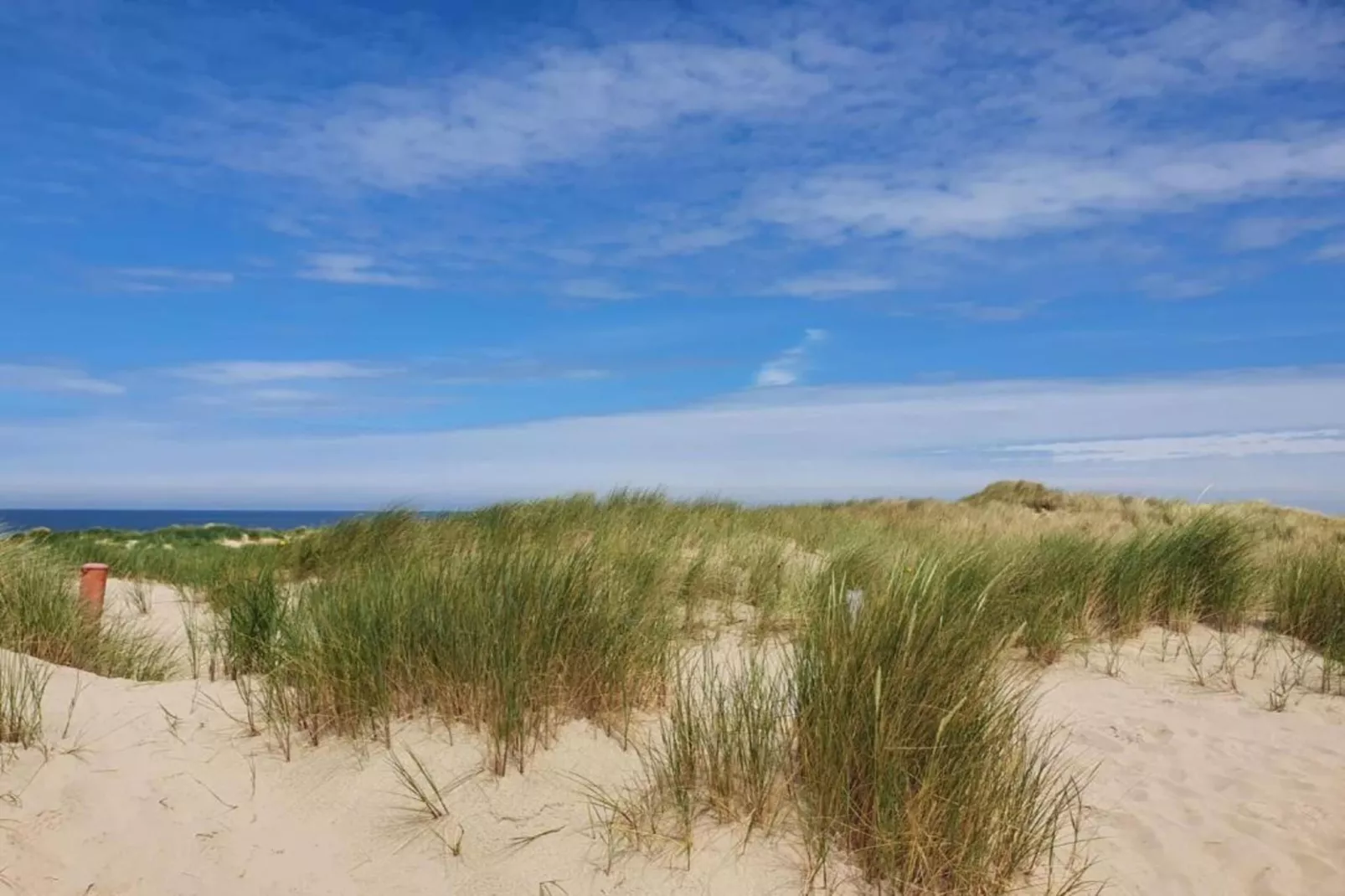 Oranjezon app 4p-Gebieden zomer 20km