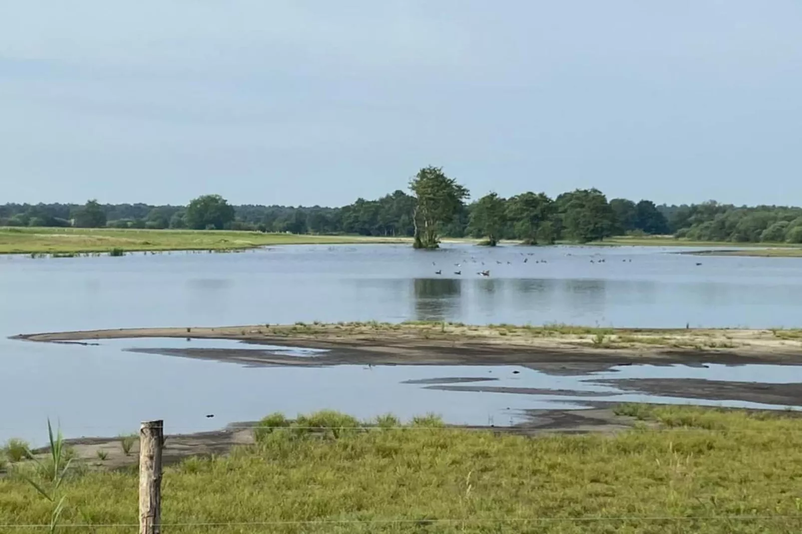 De Vrije Vogel-Gebieden zomer 20km
