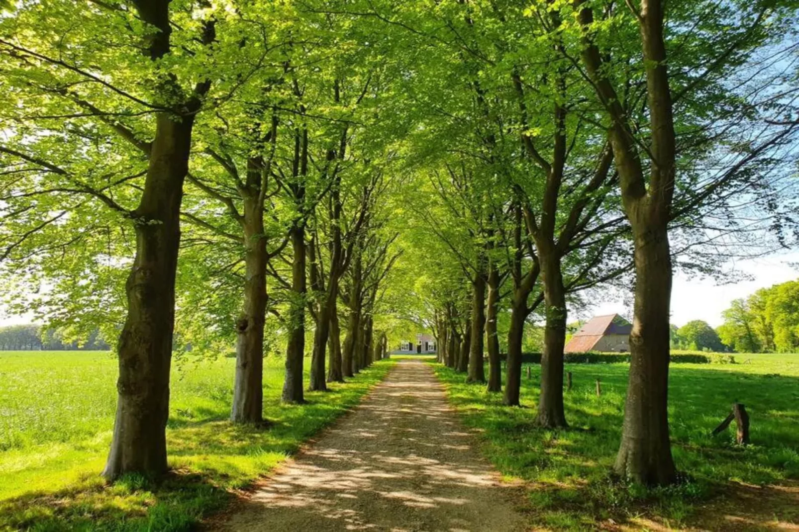Recreatiebospark de Reehorst 1-Gebieden zomer 20km