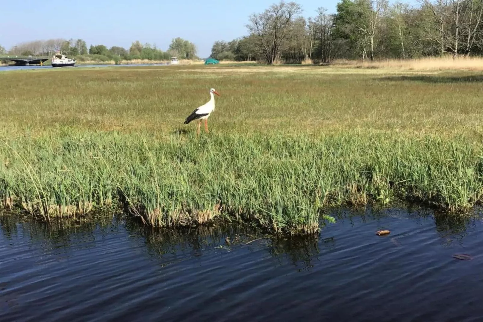 Waterpark Belterwiede 1-Gebieden zomer 20km