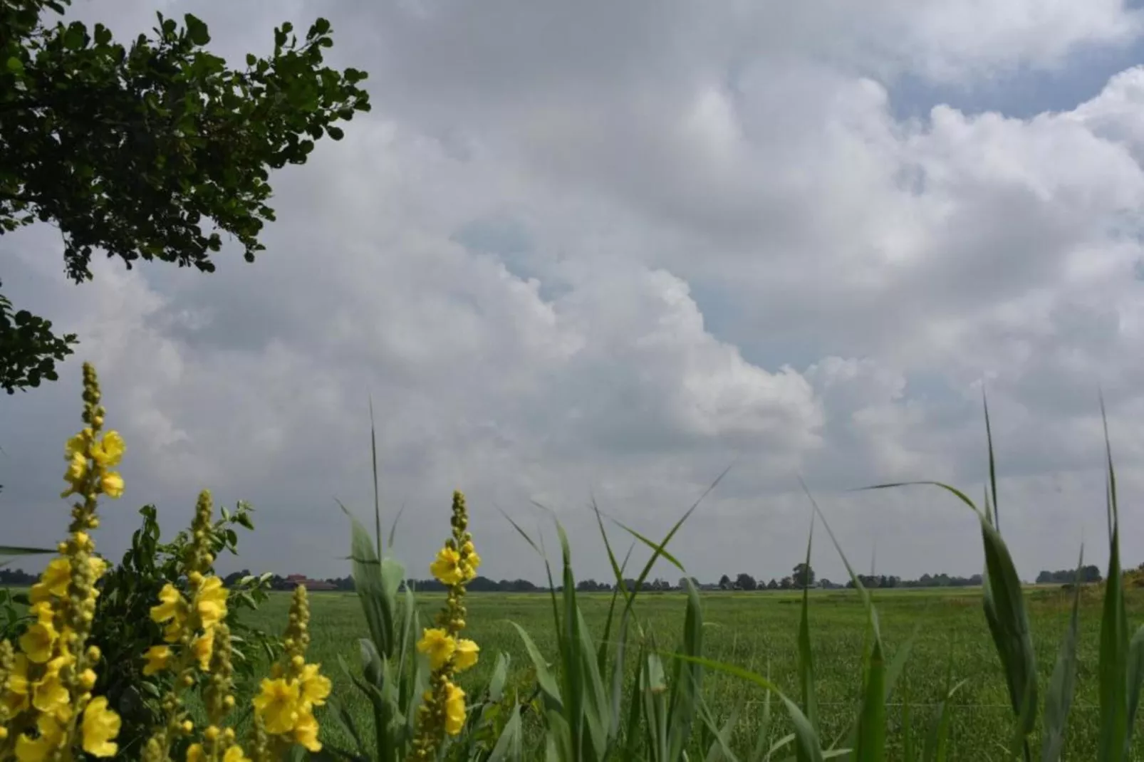 Friese Meren Villa's 16-Gebieden zomer 20km
