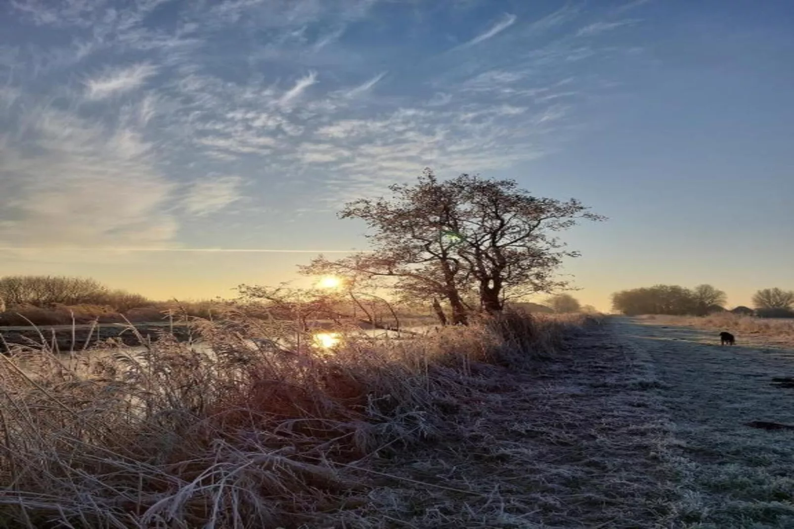 Chalet Jildau-Gebieden zomer 20km