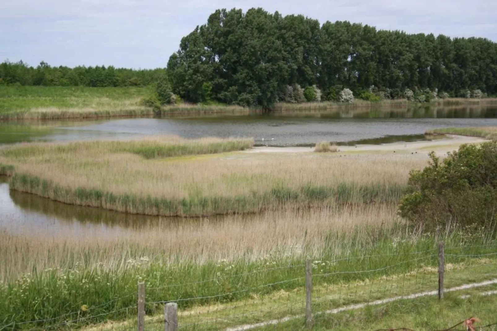 De Meerkoet Huis Nr 37-Gebieden zomer 20km