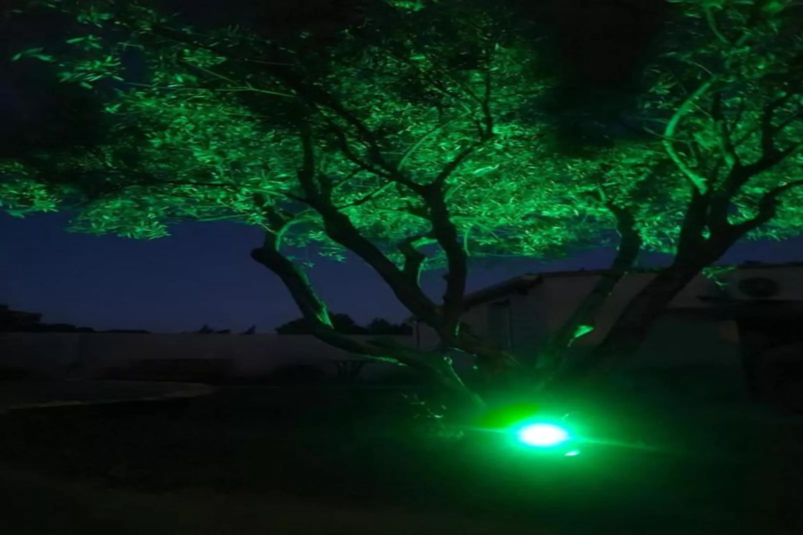 Laurence-Gebieden zomer 20km