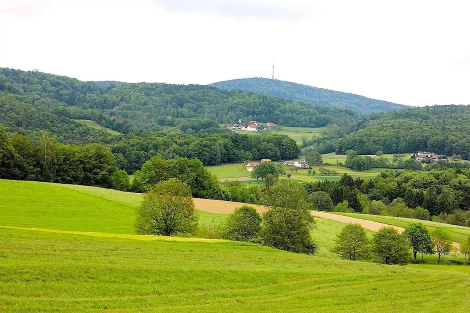 	Holiday flats Haus am Wald Zenting-Wohnung für 2 Personen-Gebieden zomer 20km