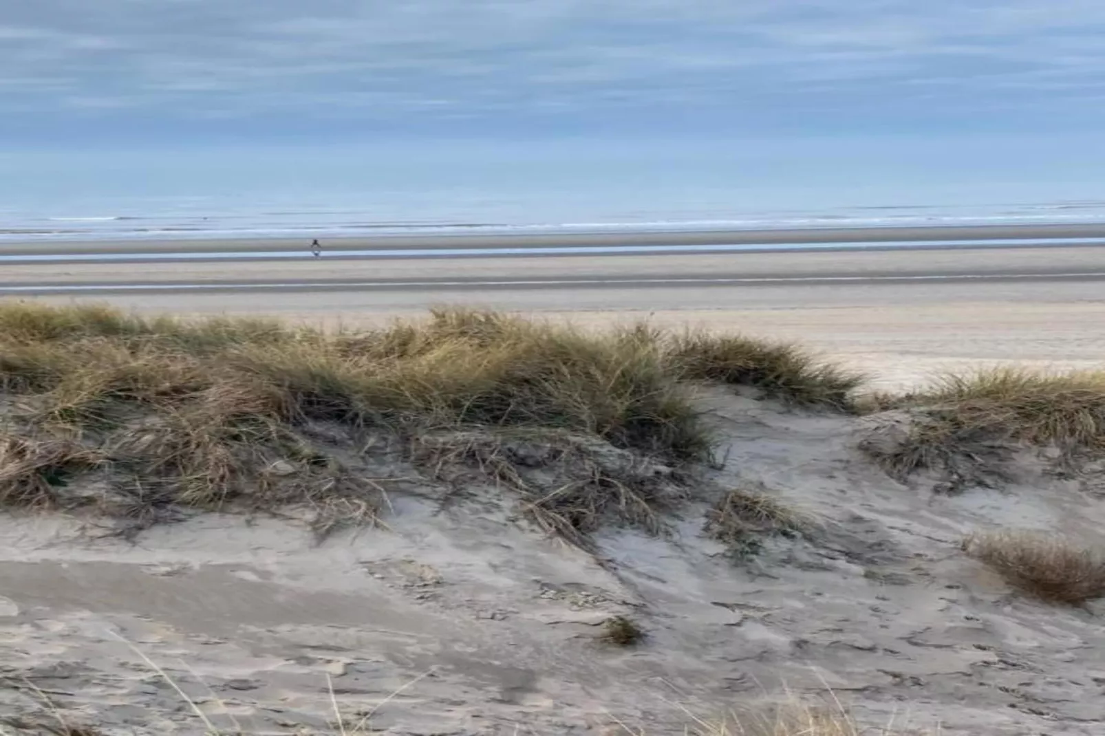 Promenade C301-Gebieden zomer 1km