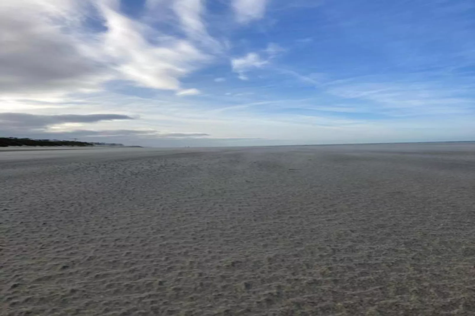 Les petrels 202 g-Gebieden zomer 1km