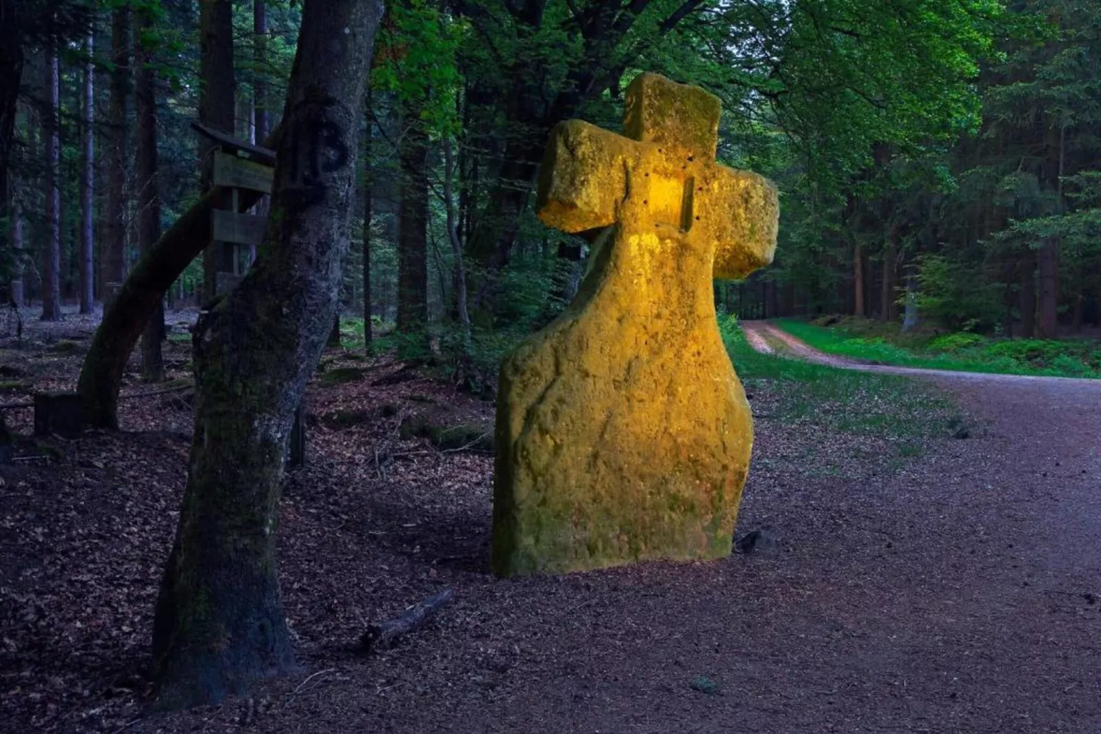 Resort Echternacherbrück 2-Gebieden zomer 20km