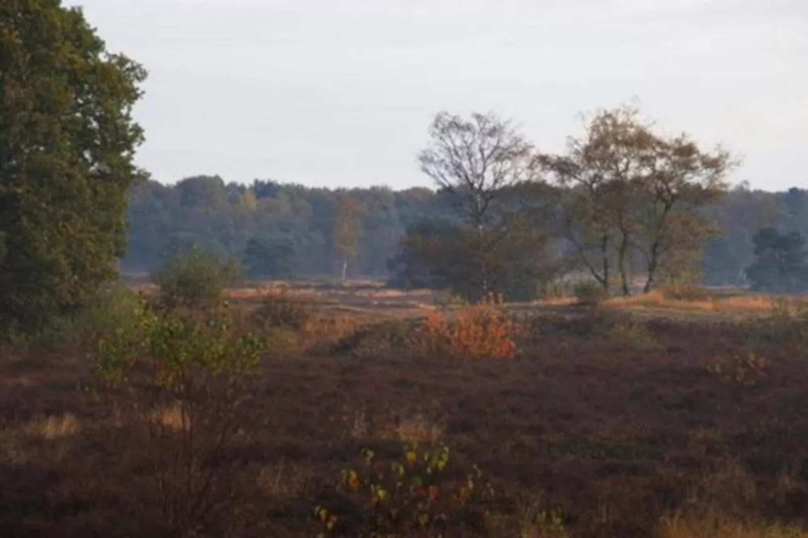 Vakantiepark Sandberghe 13-Gebieden zomer 20km