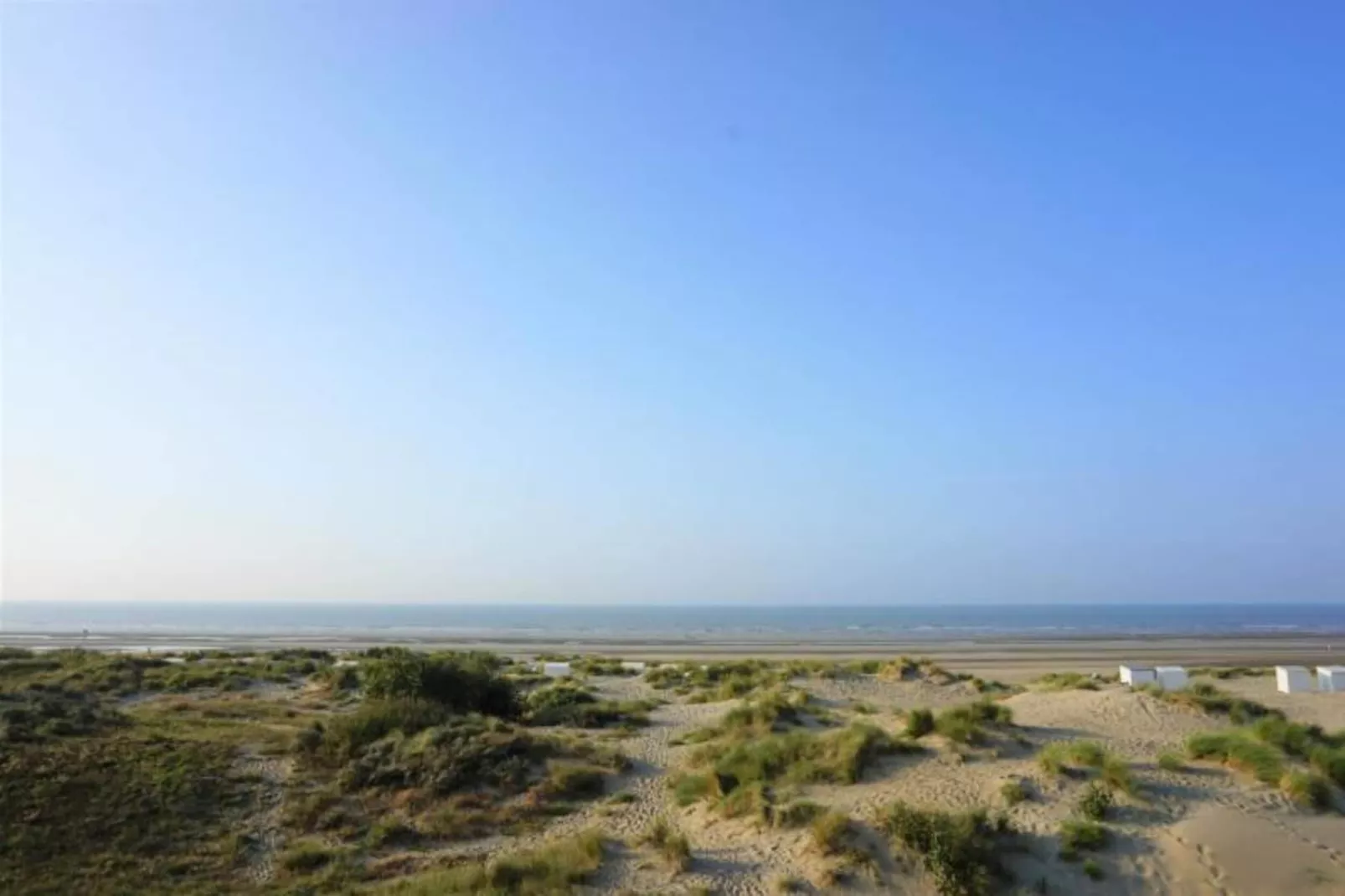 PLAZA I/2811-Gebieden zomer 5km