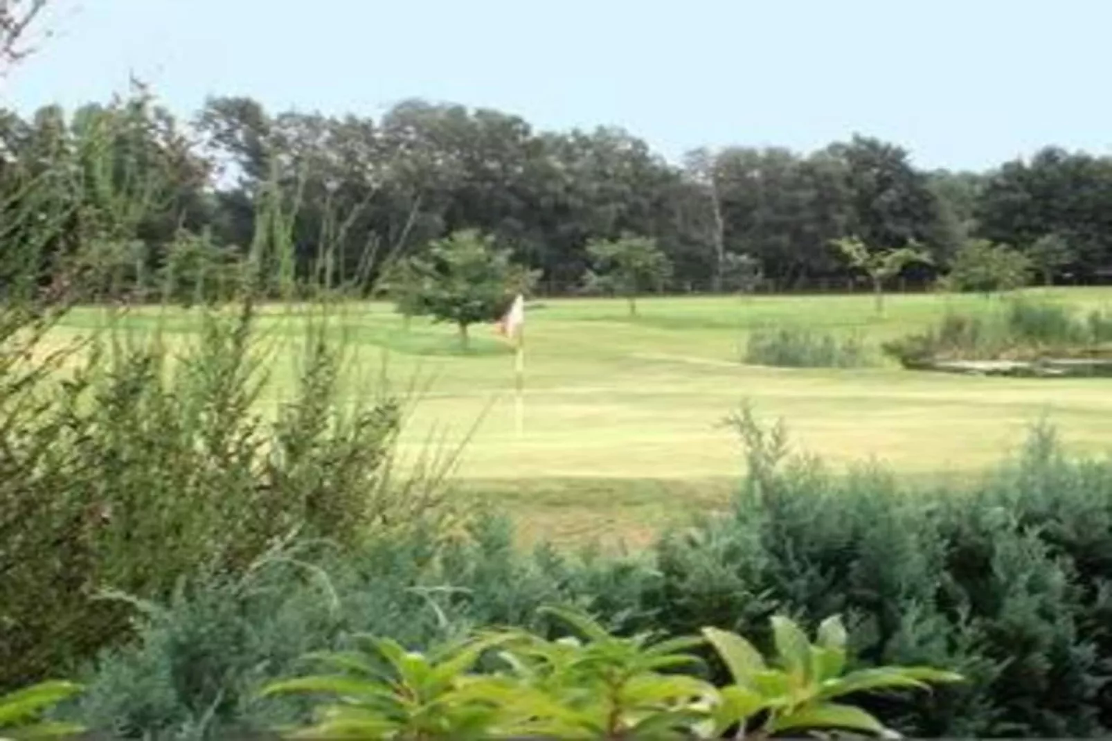 Ferienresort Bad Bentheim 34 - Gebieden zomer 20km