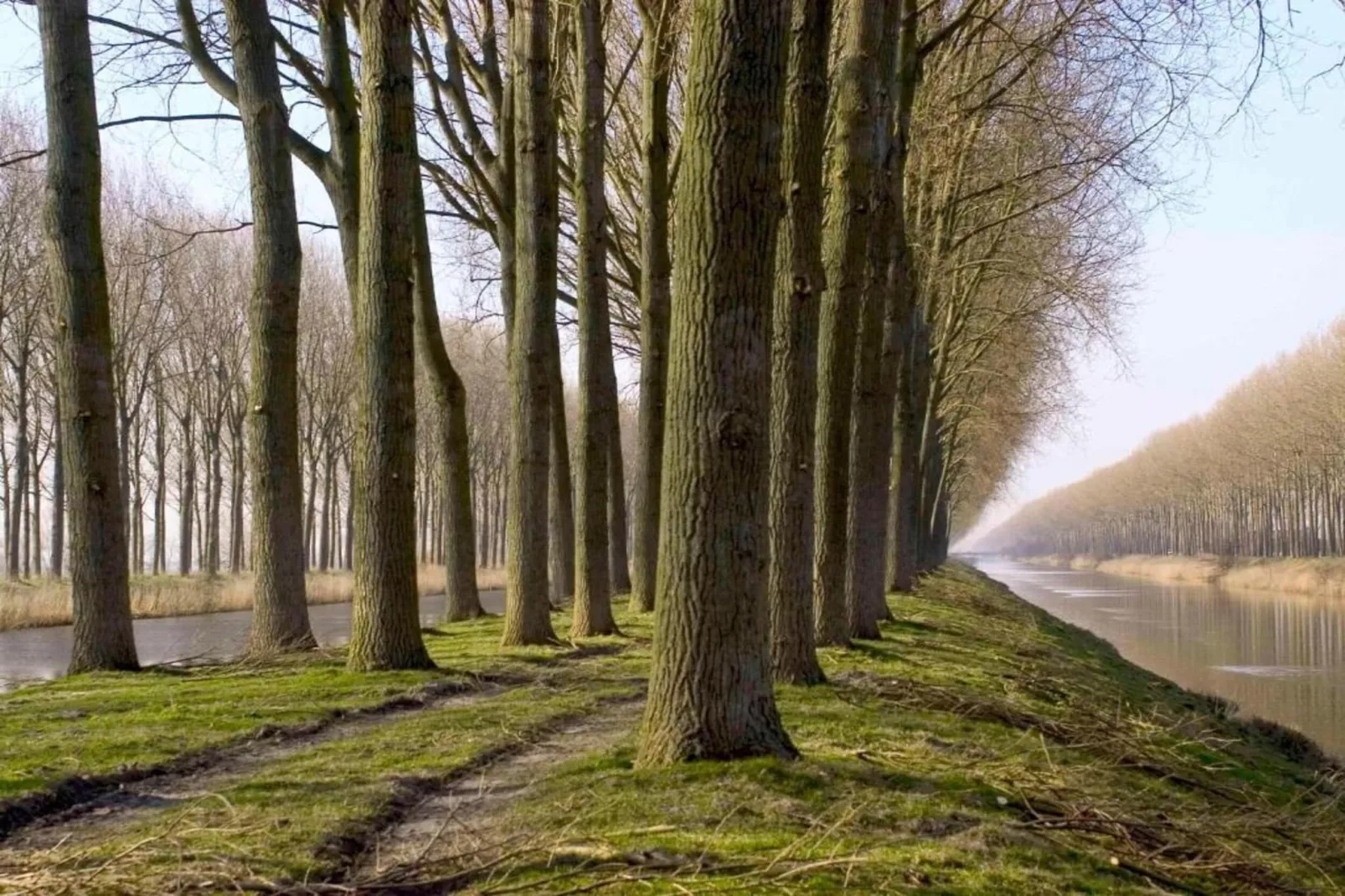 Reserve I 0303-Gebieden zomer 20km