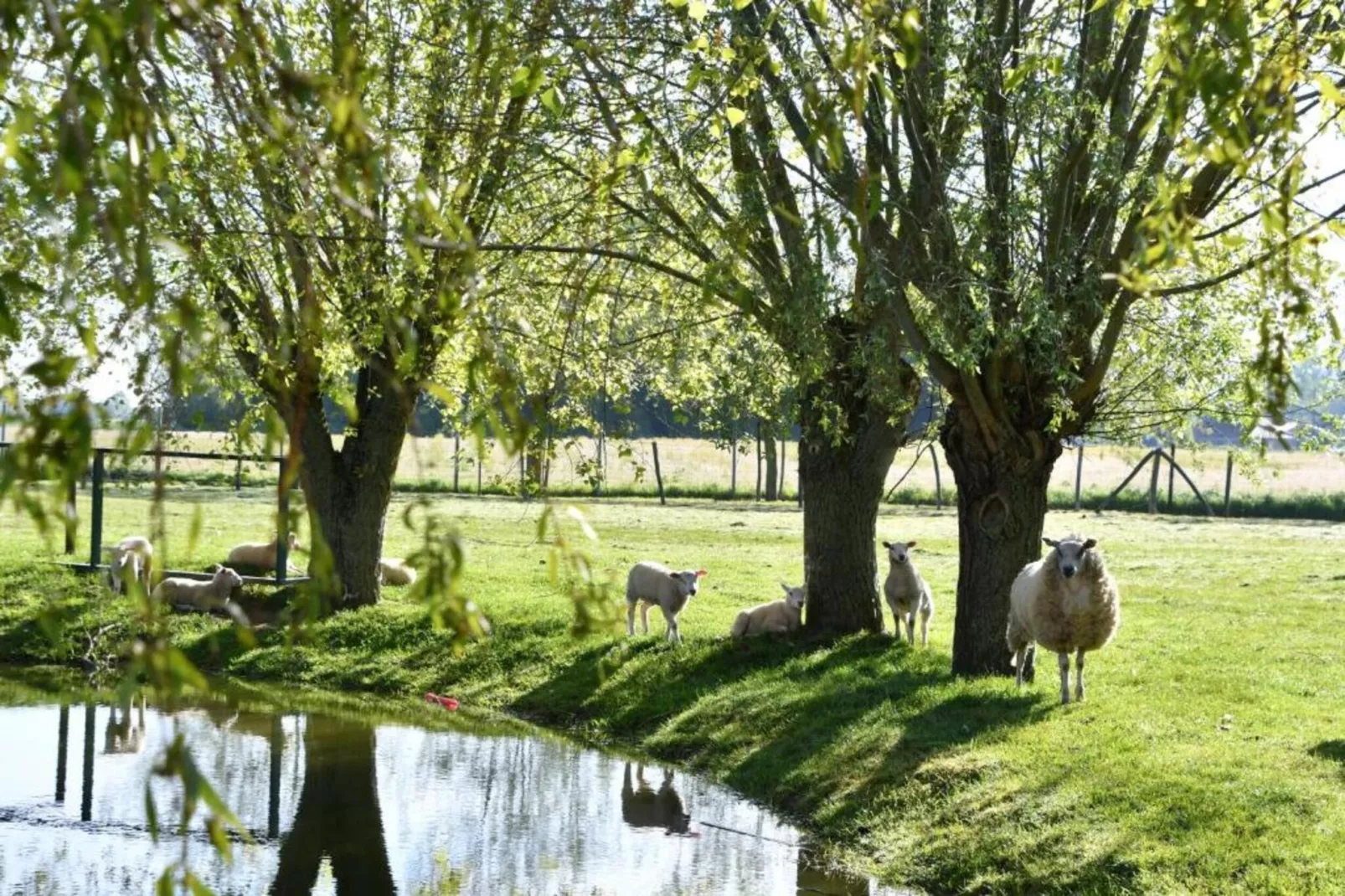 LITTLE PRINCESS 0301-Gebieden zomer 20km