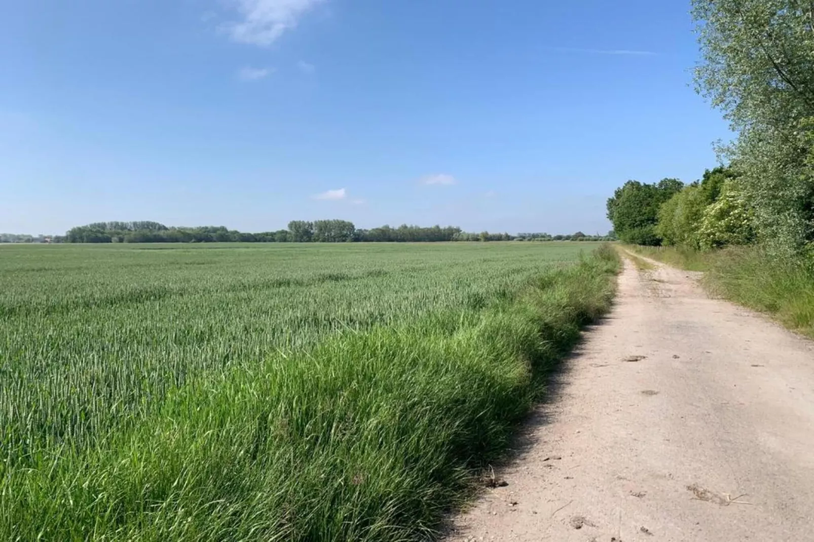 DOCKSIDE 403-Gebieden zomer 20km